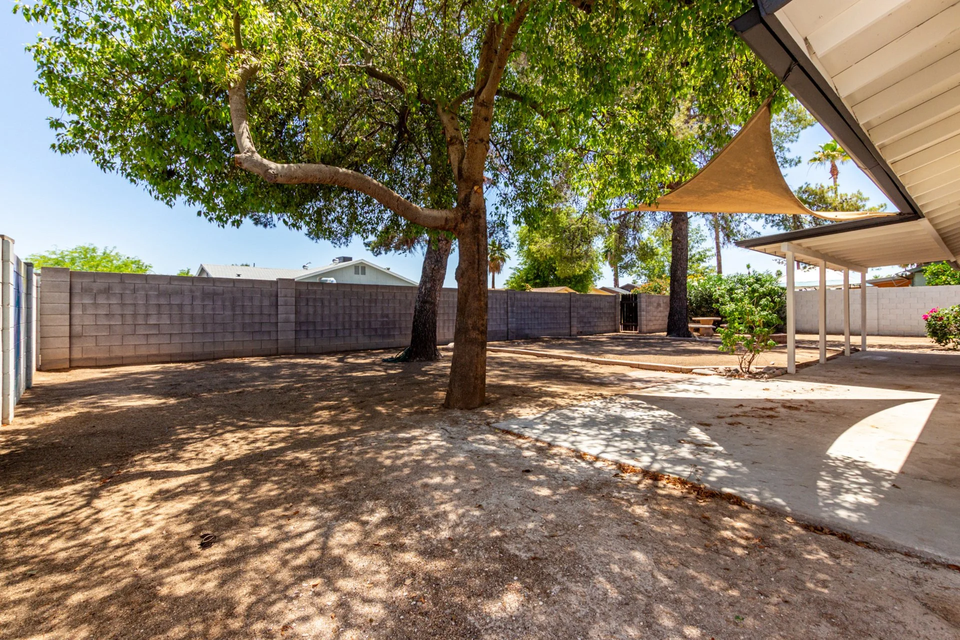 27 Windrose Backyard.jpg