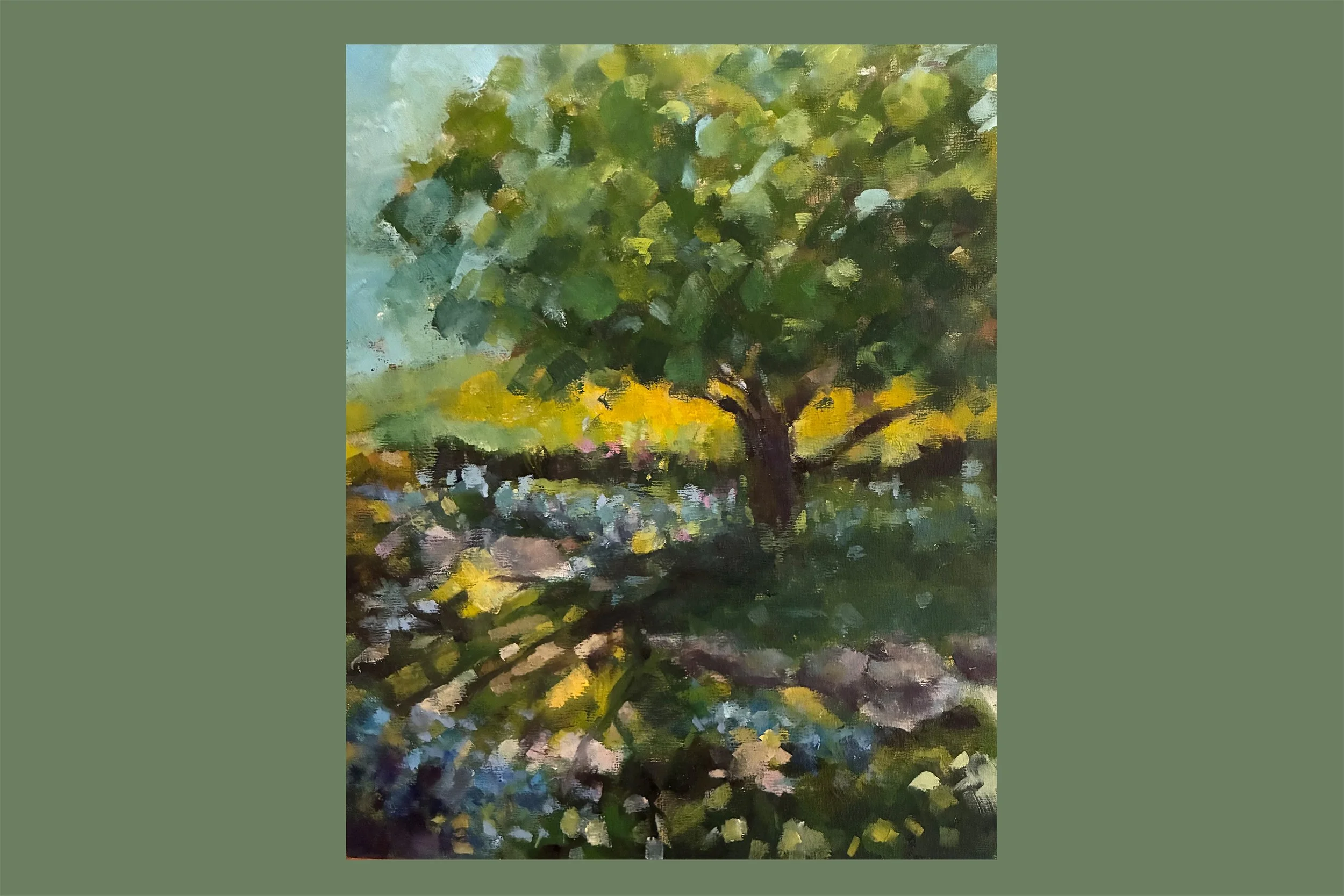 backlit tree.jpg
