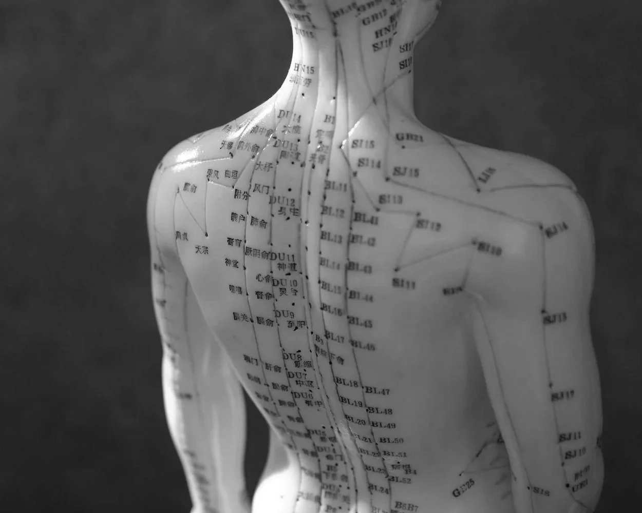 Black and white photo of a human torso model covered with acupuncture meridian lines and Chinese characters.