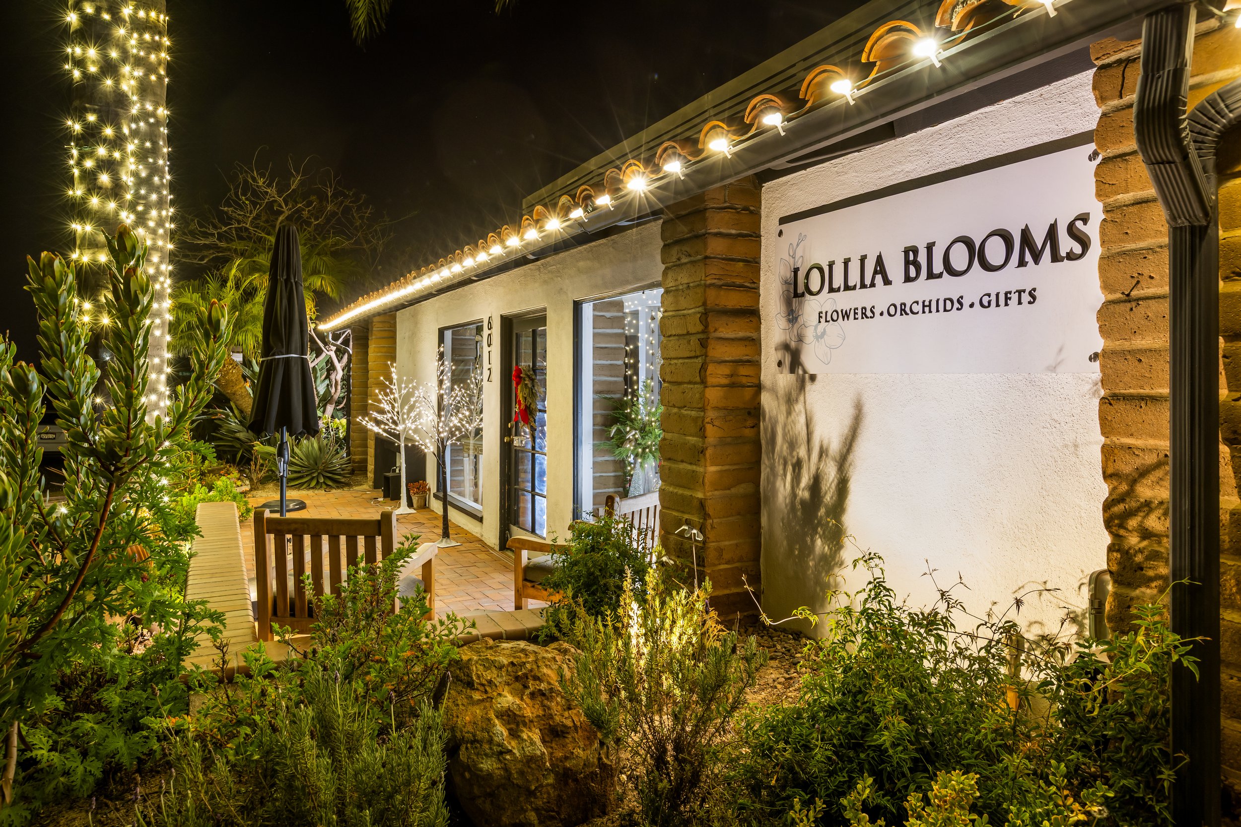 Exterior of a flower shop named Lolla Blooms decorated with string lights at night, with wooden benches, small trees with lights, plants, and a black umbrella outside.