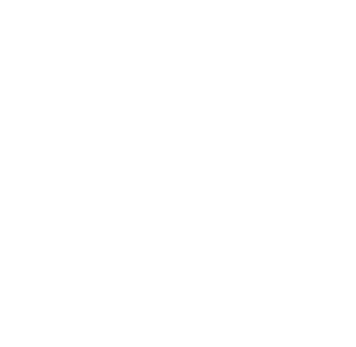 A black and white logo featuring a lion's face with a stylized mane above the words 'PHEMOM ACADEMY' in white capital letters.