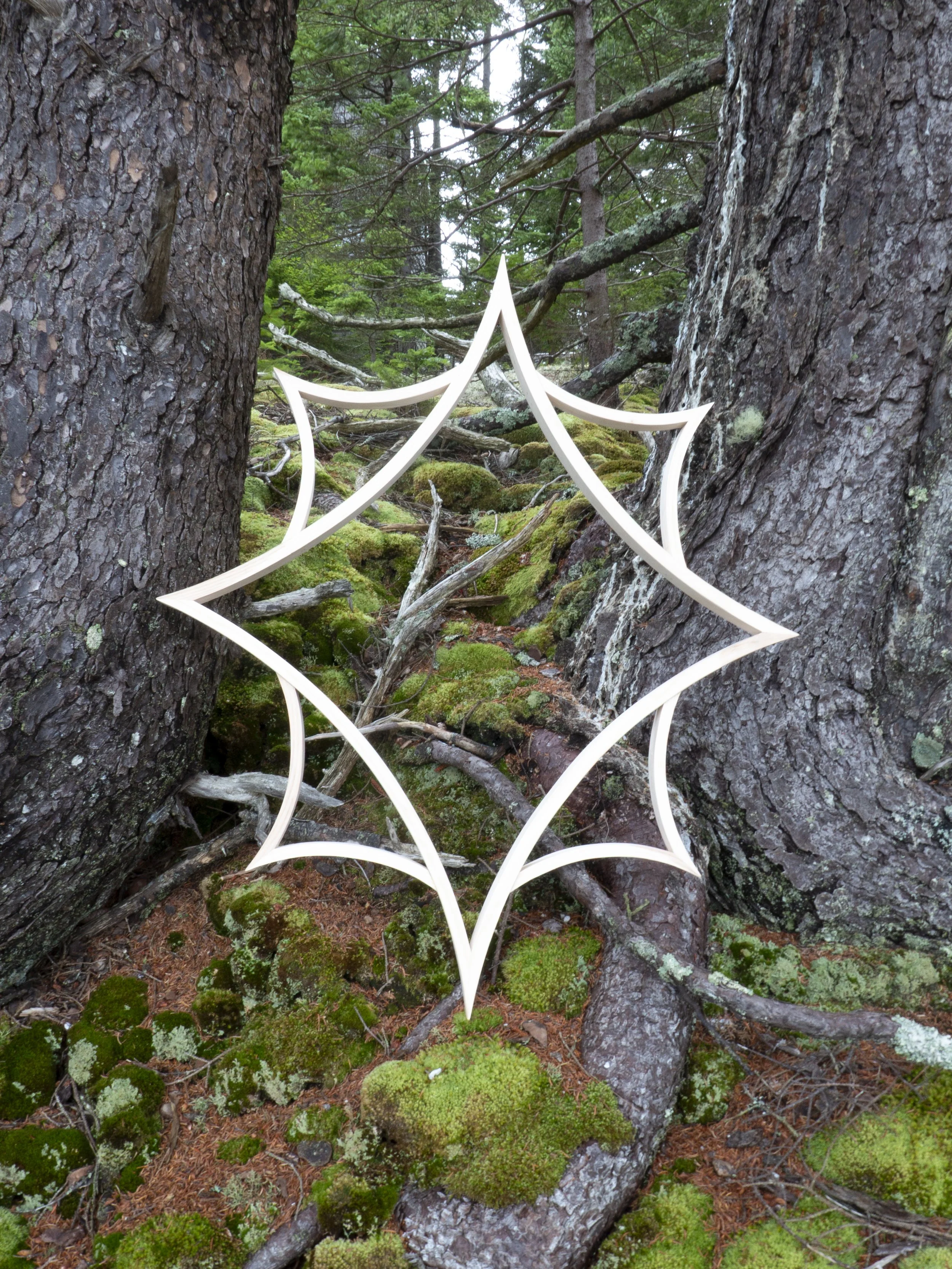 Starshine11.JPG