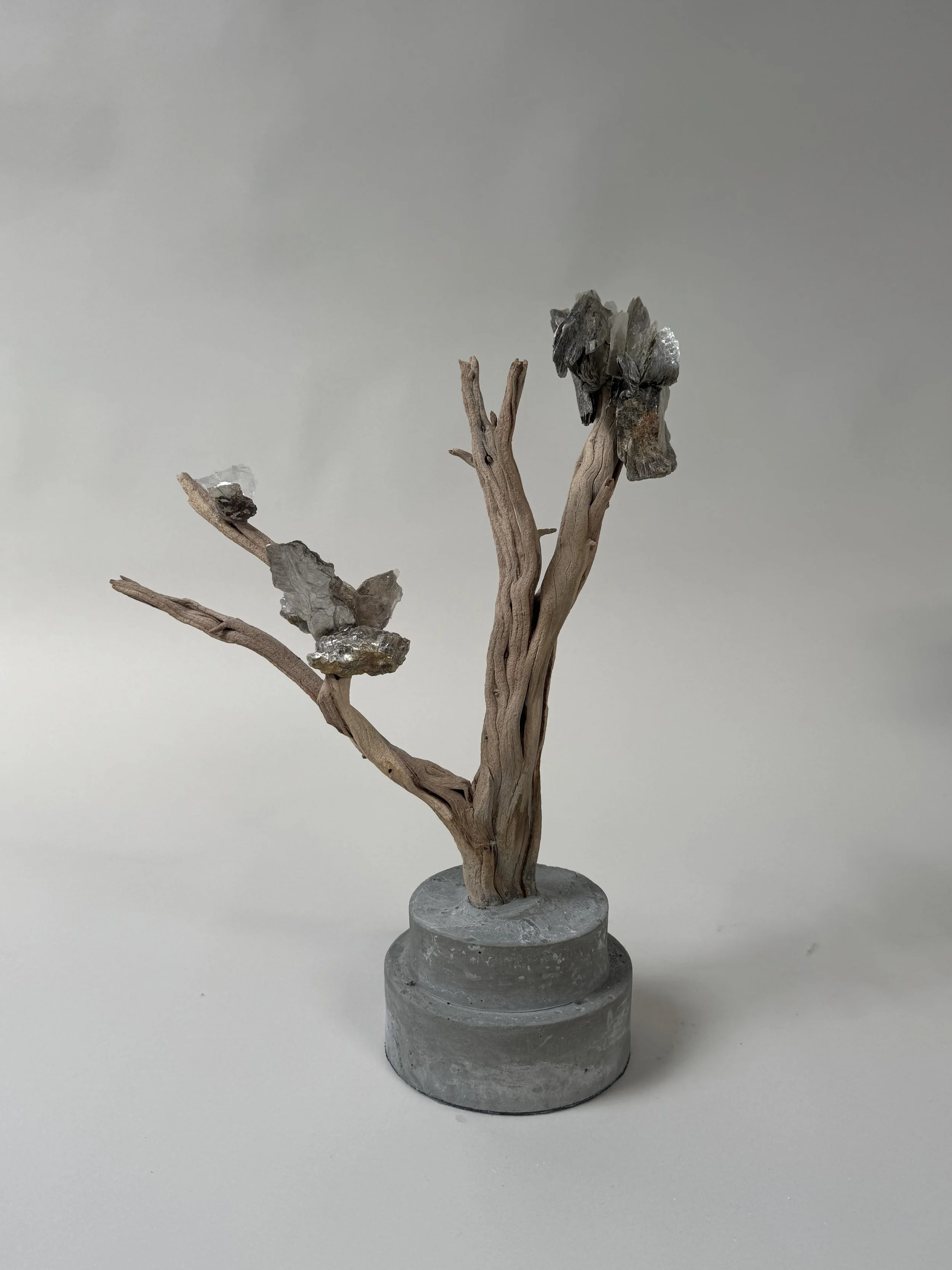 Three-quarter view of OG Krislyn Tree in Natural Mica by Kept LA  showing full branching wood form with mica details and hand-cast  concrete base, neutral background