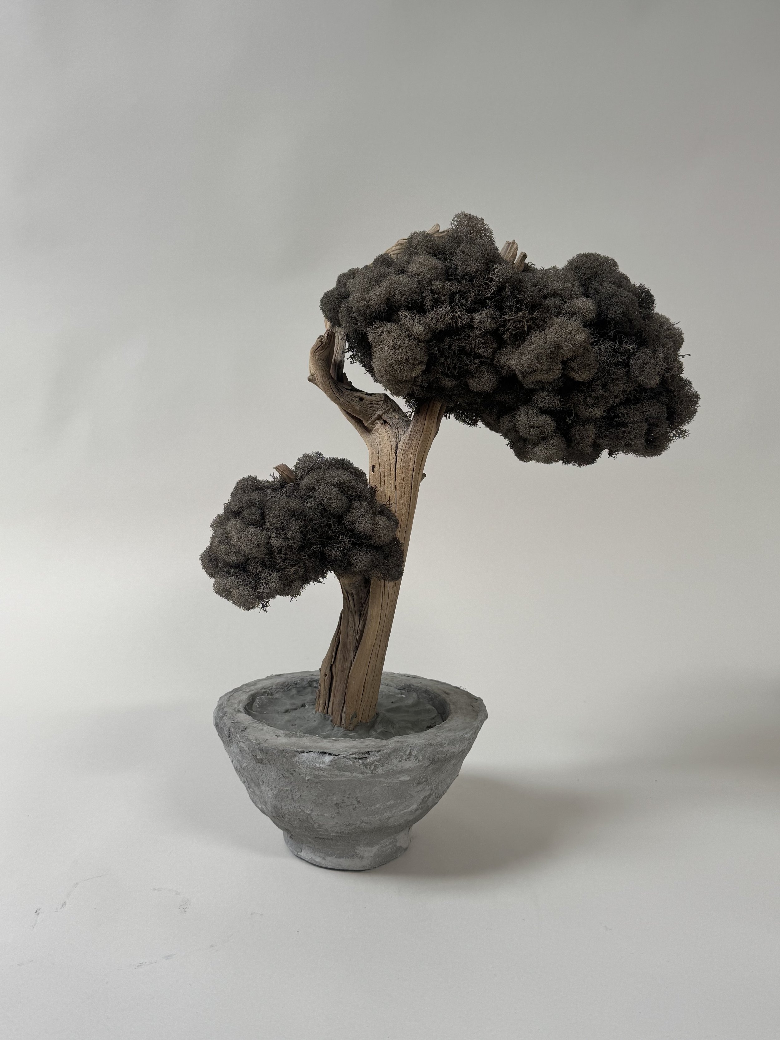 OG Krislyn Tree in Gray Moss
