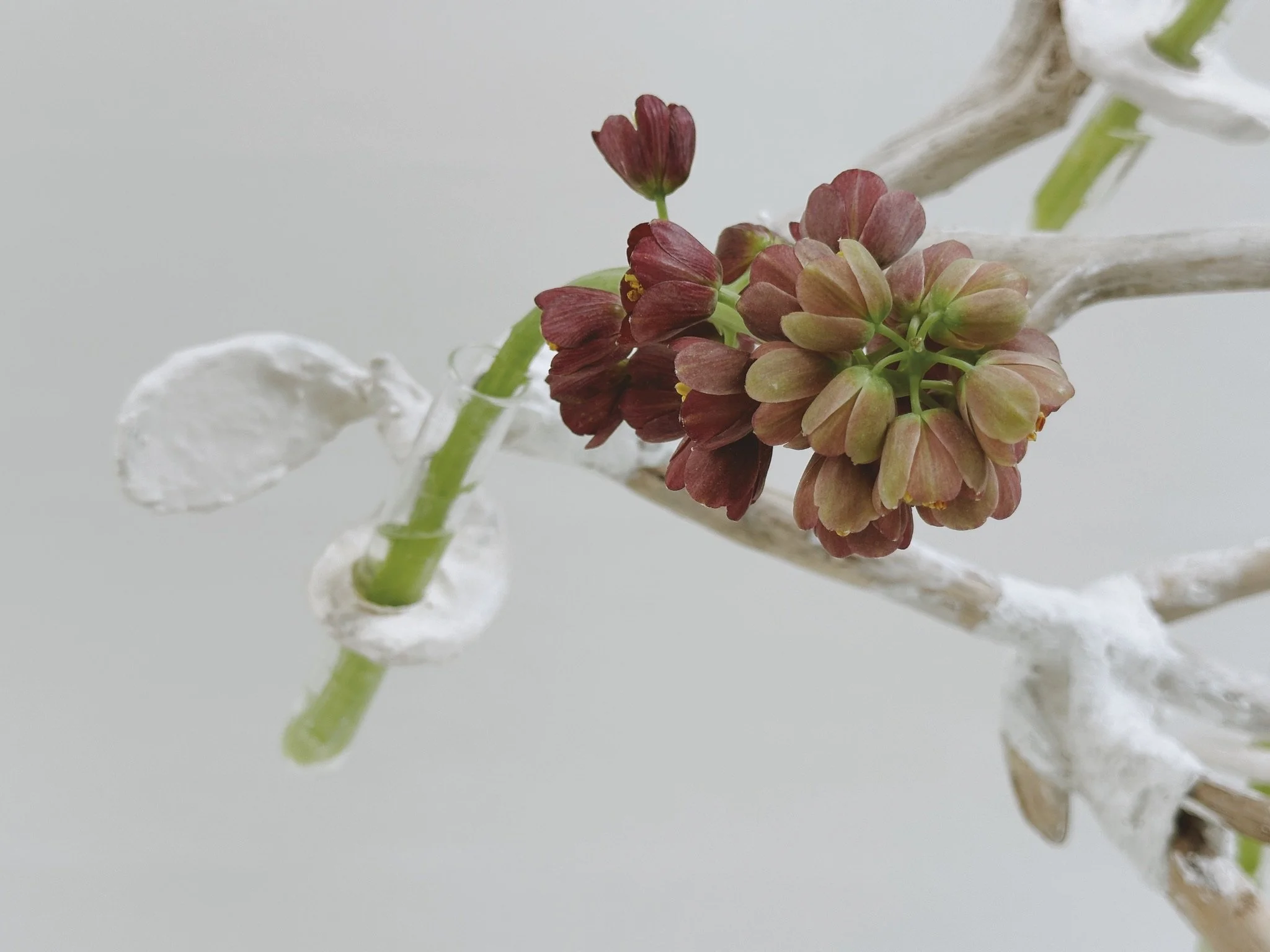 bar floral detail