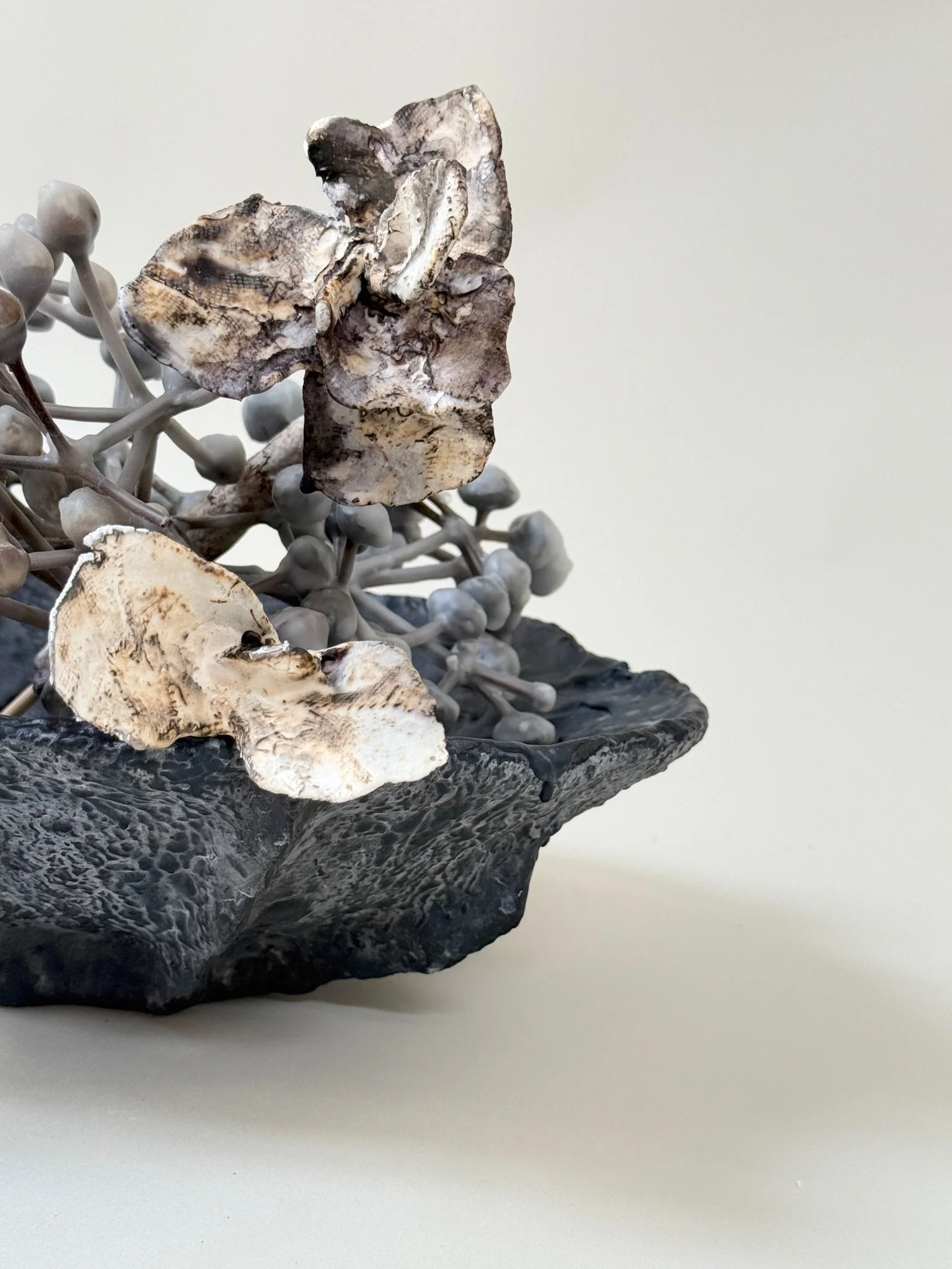 Close detail of Midnight Bowl by Kept LA — hand-sculpted paper  mache and gypsum bowl in dark midnight pigment with wax plaster  flowers and grey waxed seed pods