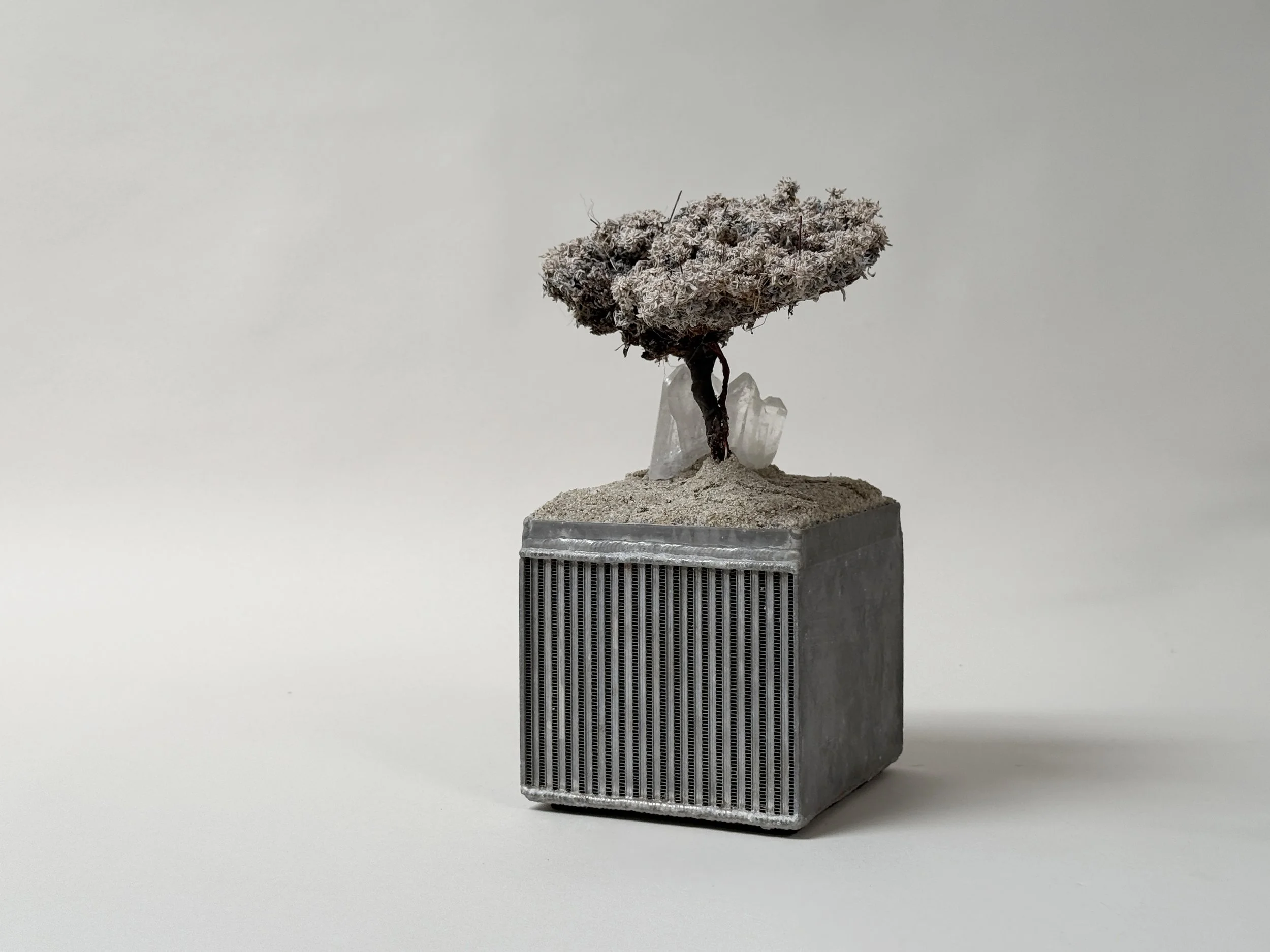 Arte Povera Landscape sculpture by Kept LA three-quarter view  showing full composition of wire tree form, dried botanicals,  crystals and found radiator part base