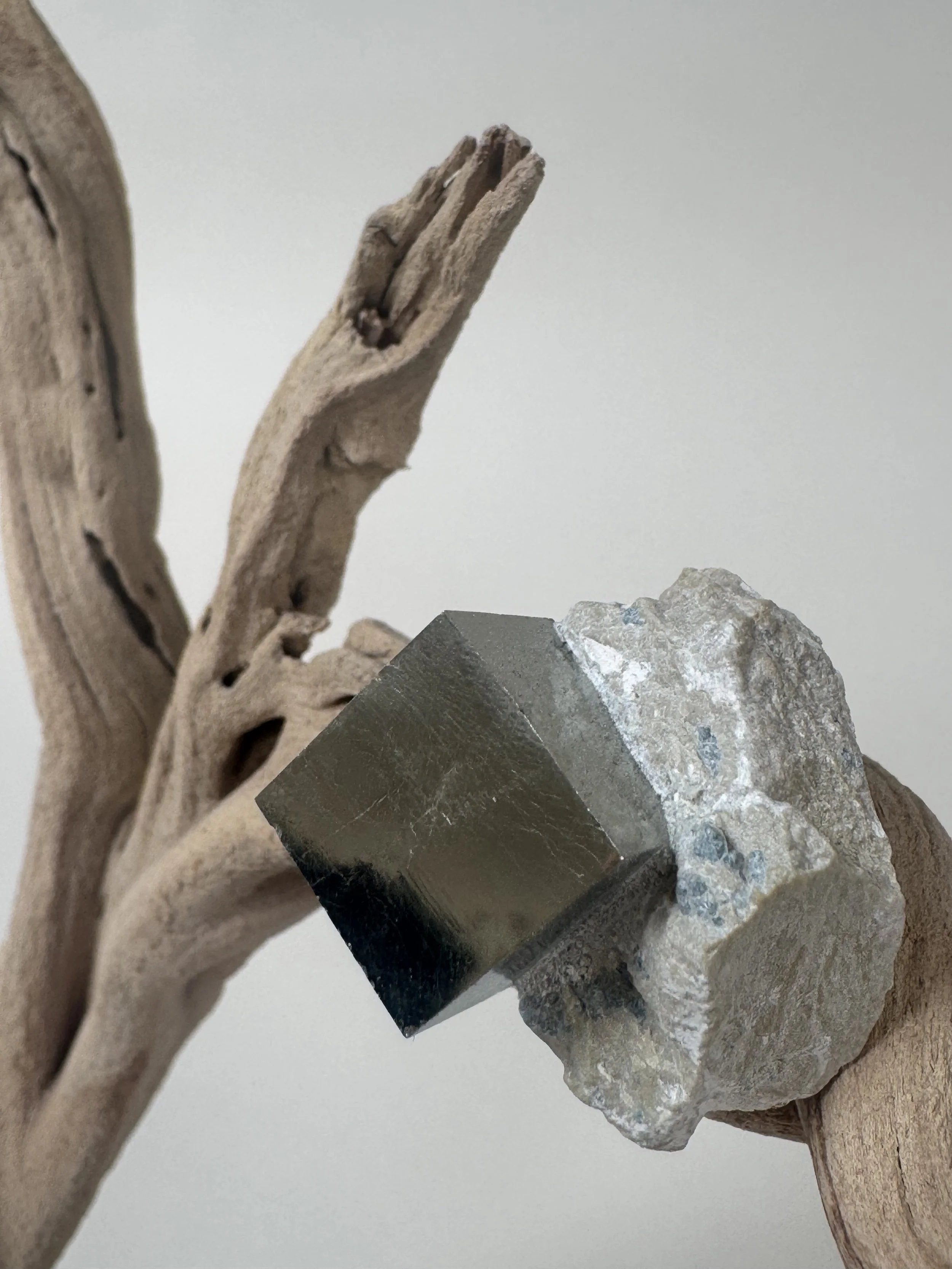 Close detail of OG Krislyn Tree in Pyrite by Kept LA showing  raw cubic pyrite mineral and host rock nestled at base of  sand-blasted fire-cleared wood branches