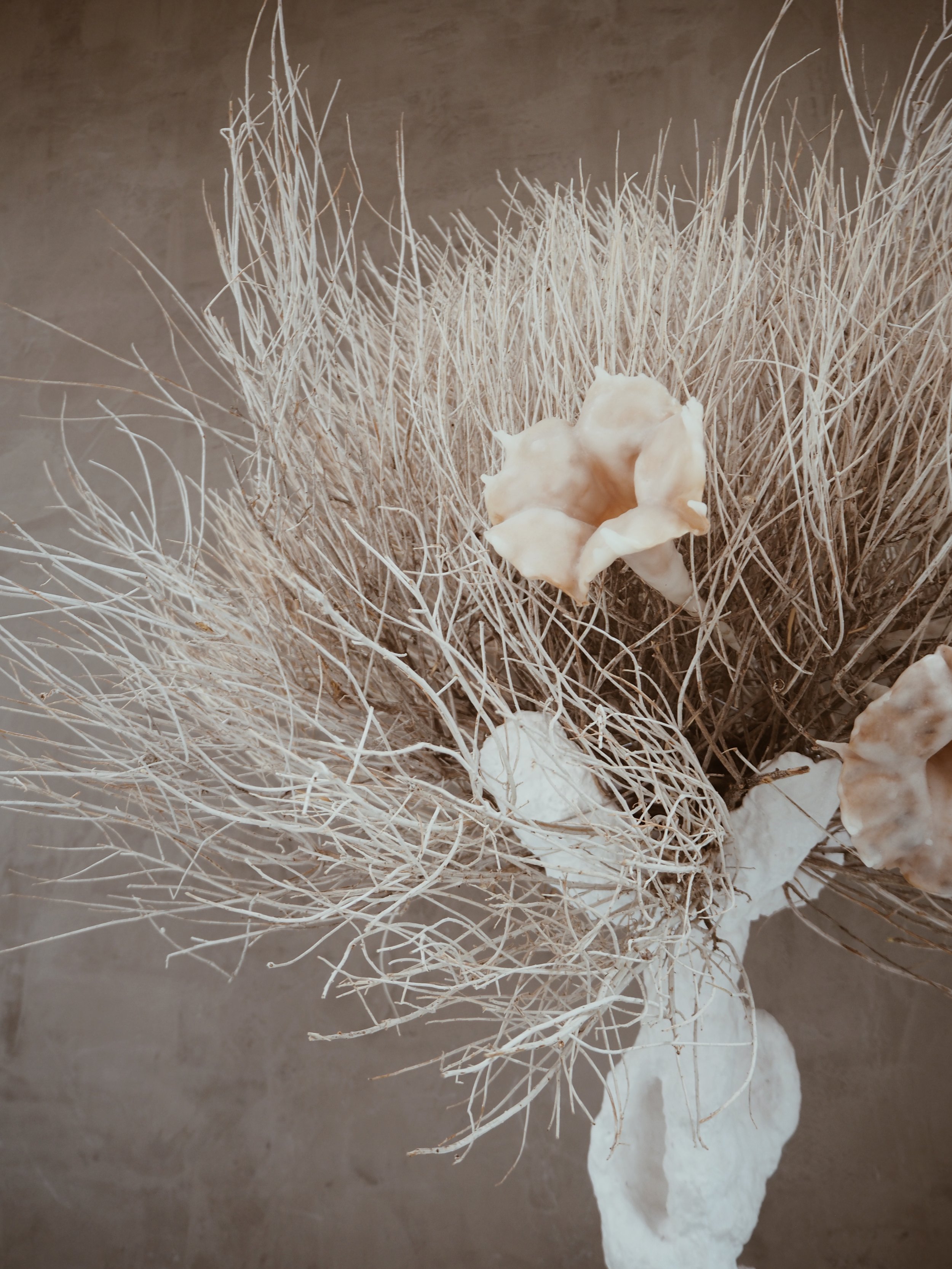 Angled composition, tumbleweed and gypsum forms