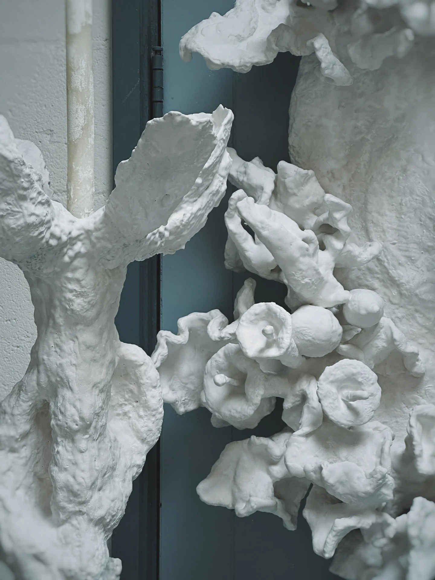 Point of Presence (2025)
Beeswax with botanical inclusions, gypsum, gypsum-polymer glaze, mixed media.
Recasting the mirror as a spatial instrument, Point of Presence replaces reflective glass with a convex funnel that concentrates attention. Botanic