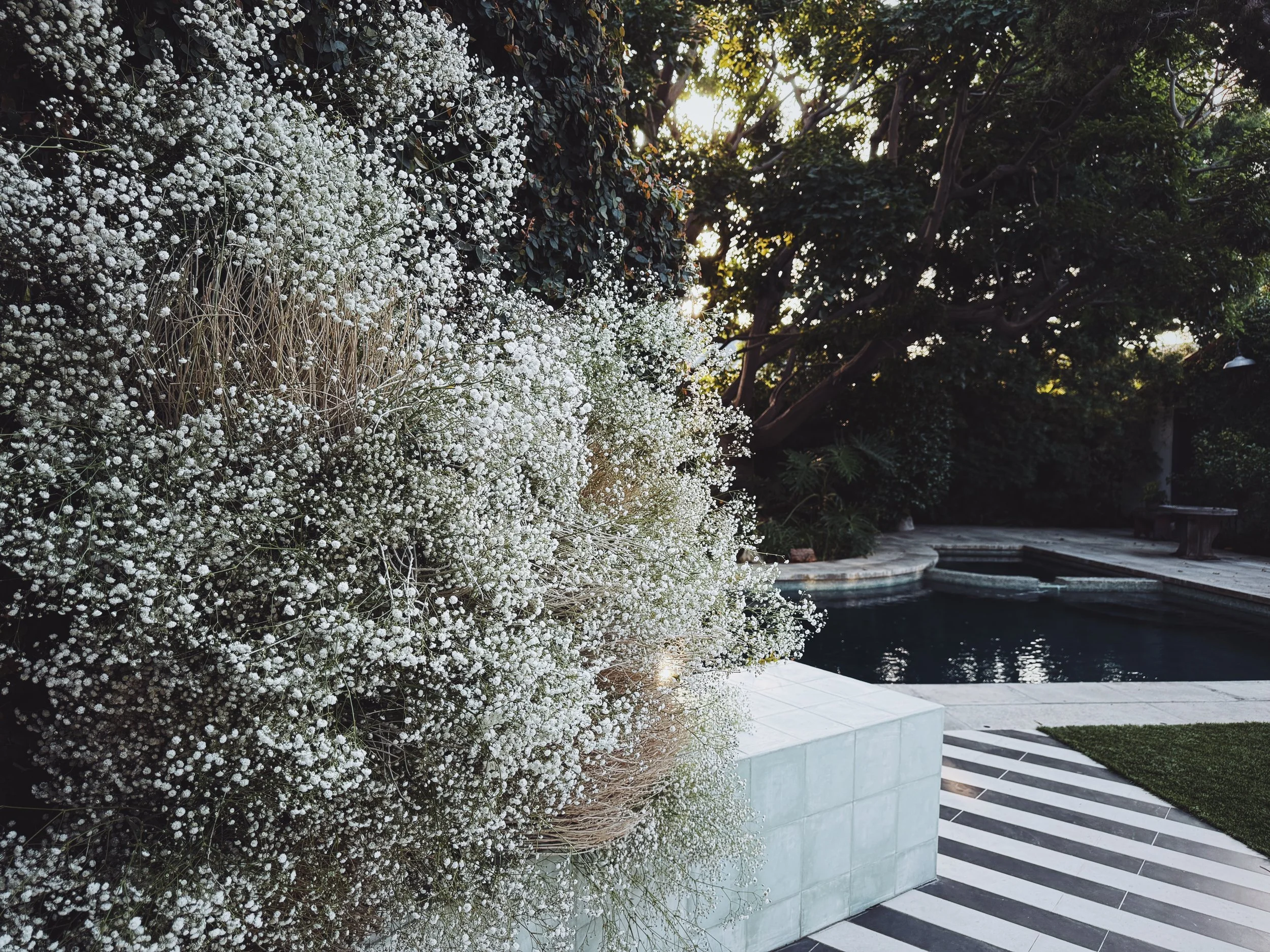 18-sagebrush-babysbreath-flowers-kept-la.JPG