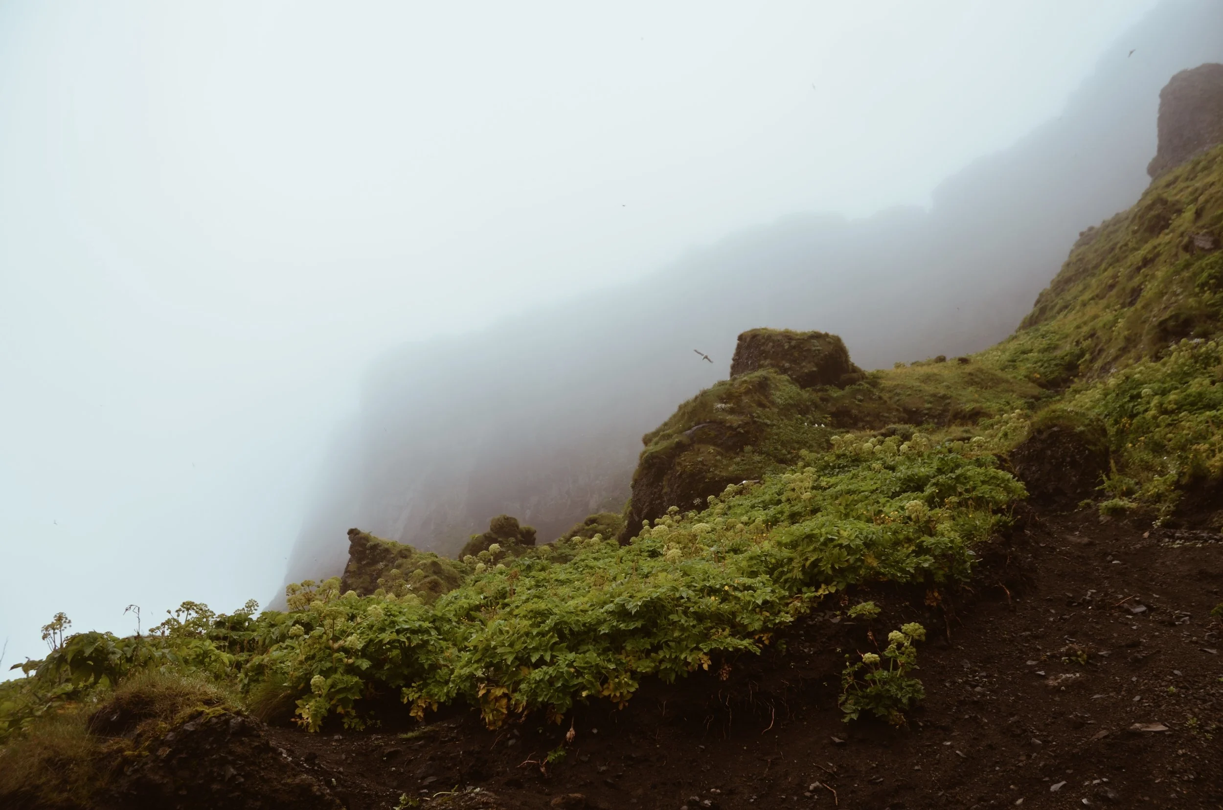 Iceland.  Photos: Krislyn Komarov