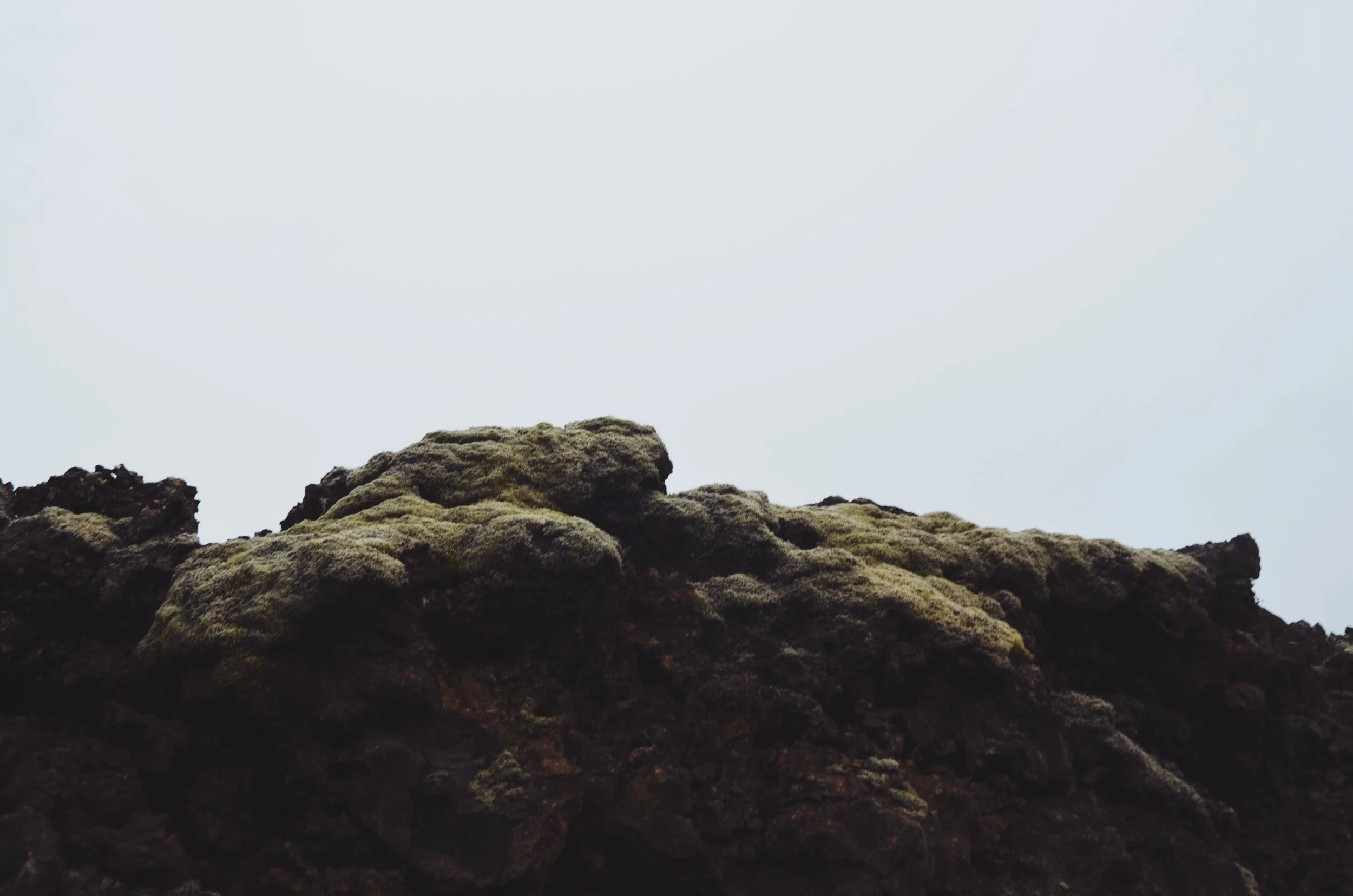 21-moss-volcanic-rock-kept-la.jpg