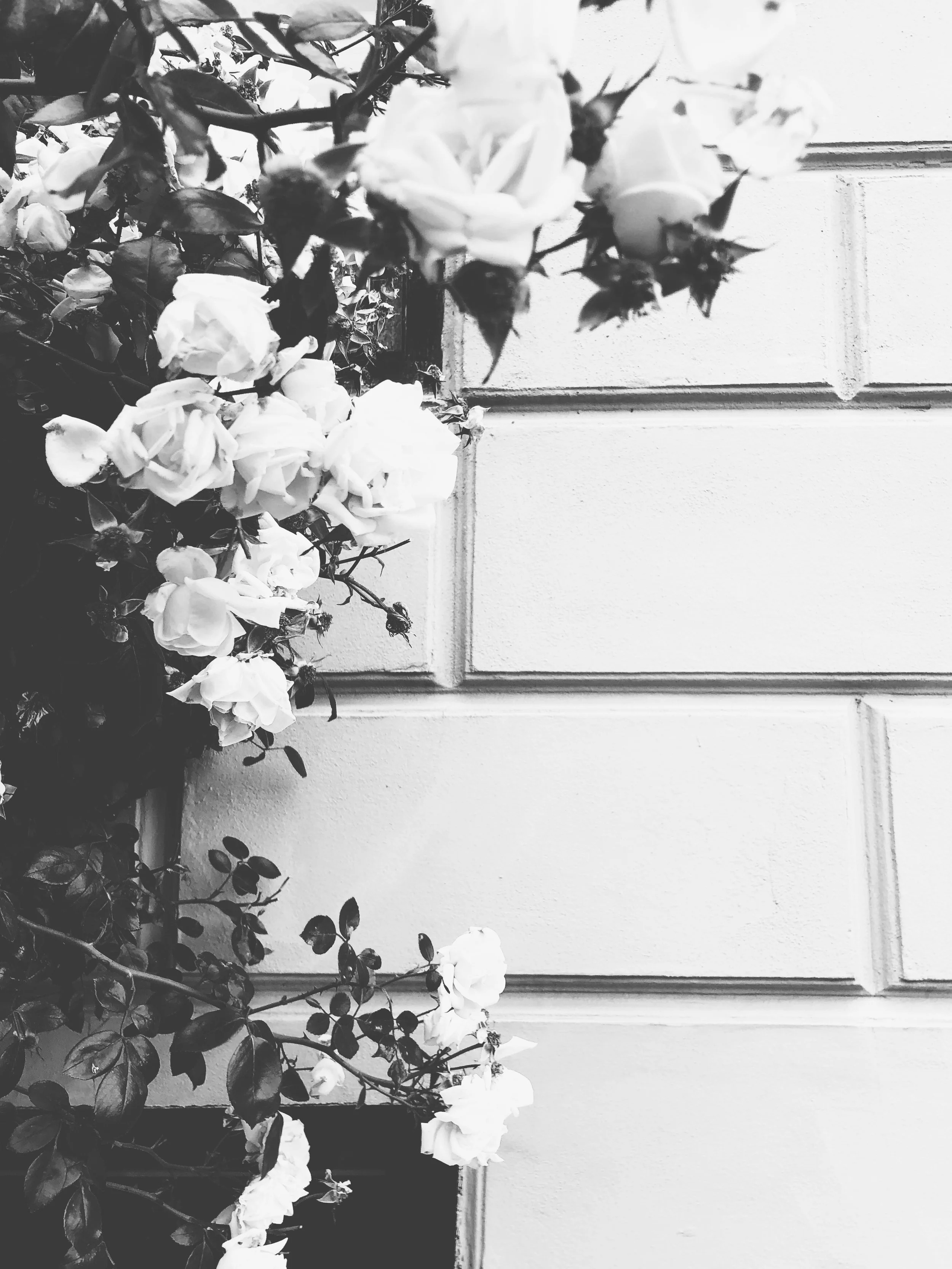 43-kept-la-rose-wall-tole.jpg