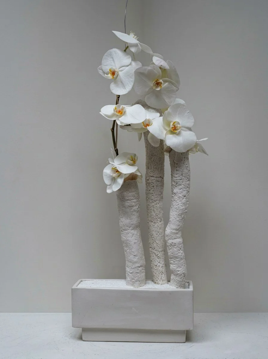 sea specimen with orchids