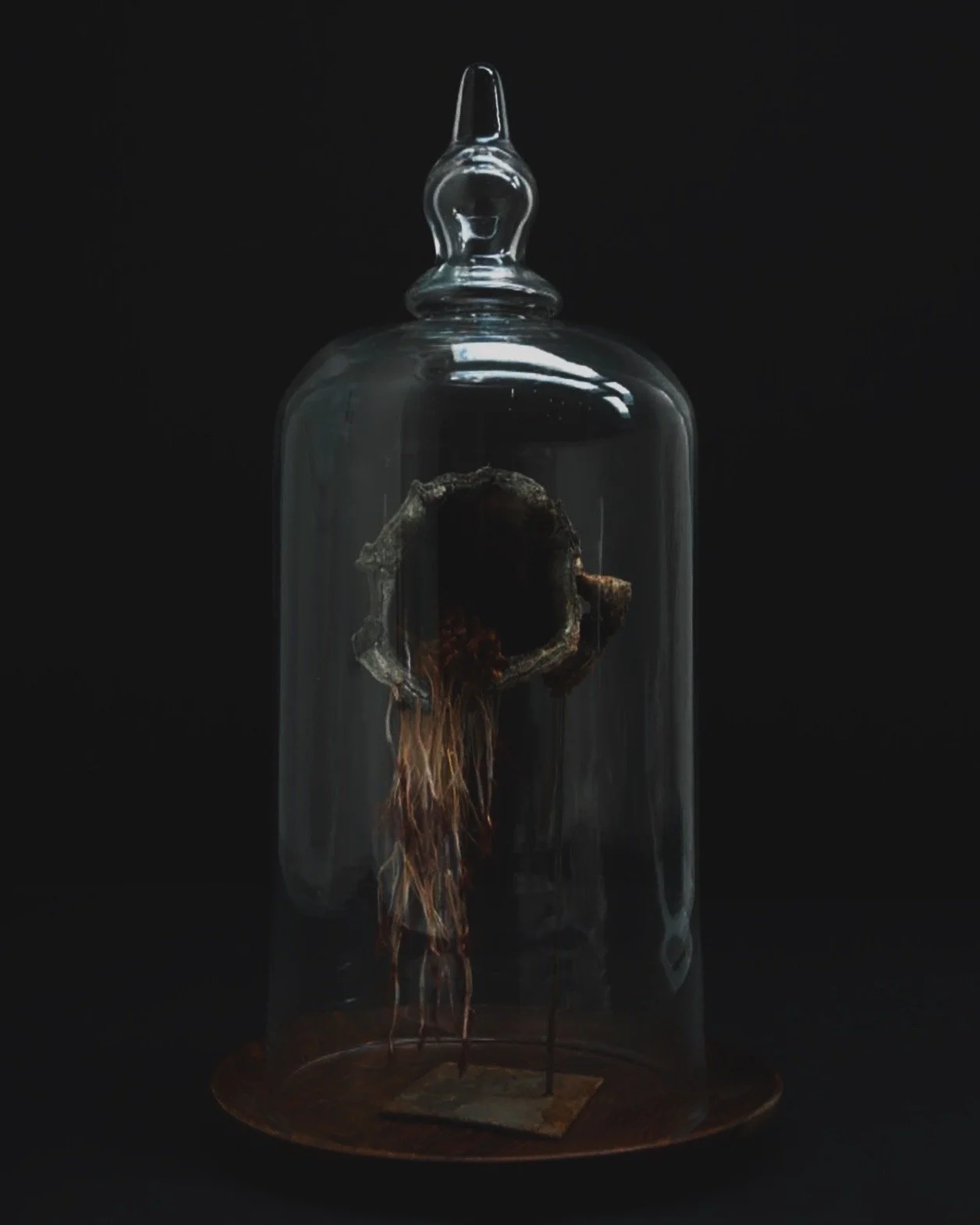 curio