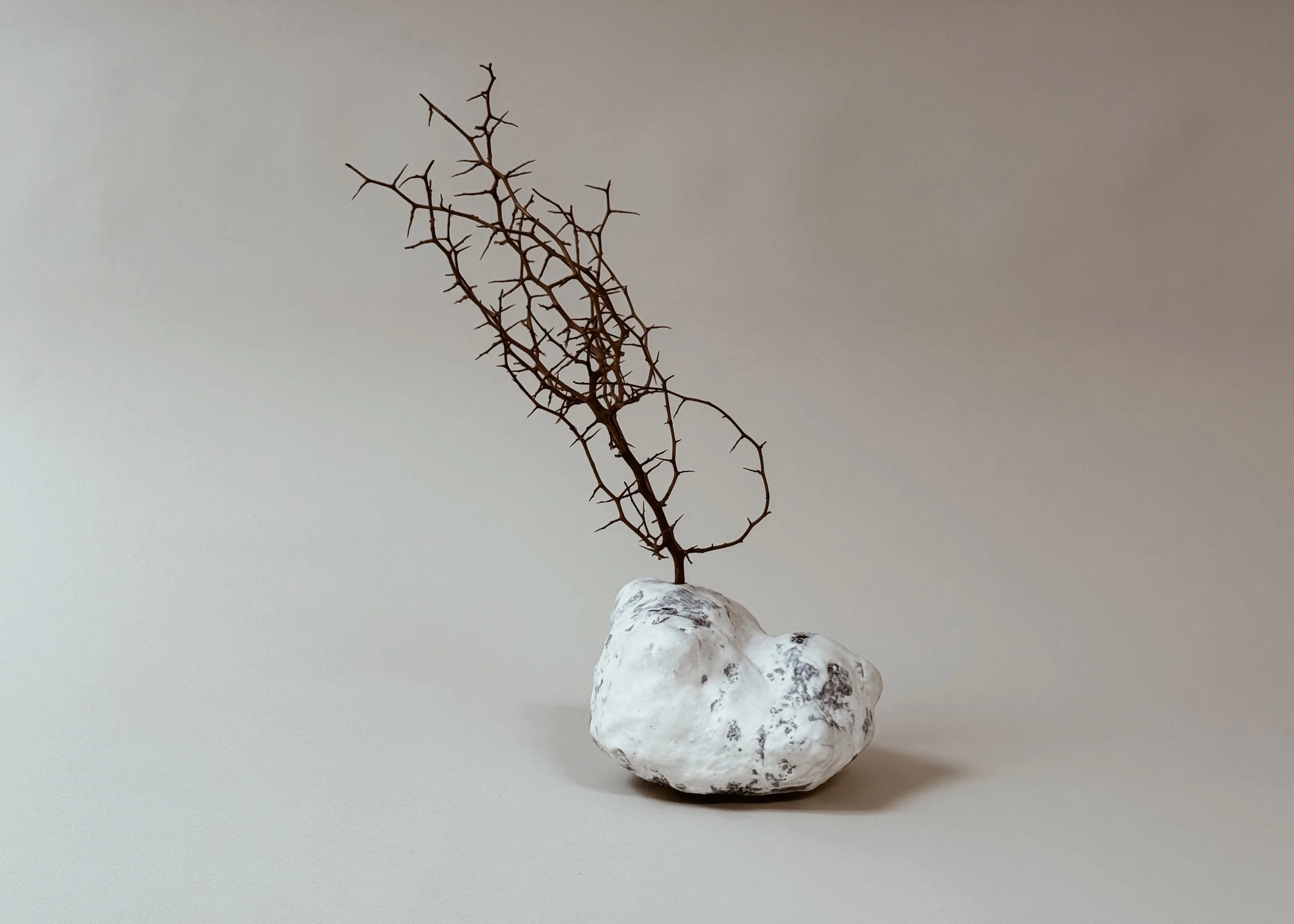 Specimen Display Rocks