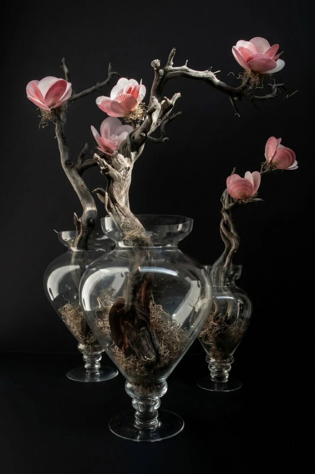 hospitality botanical