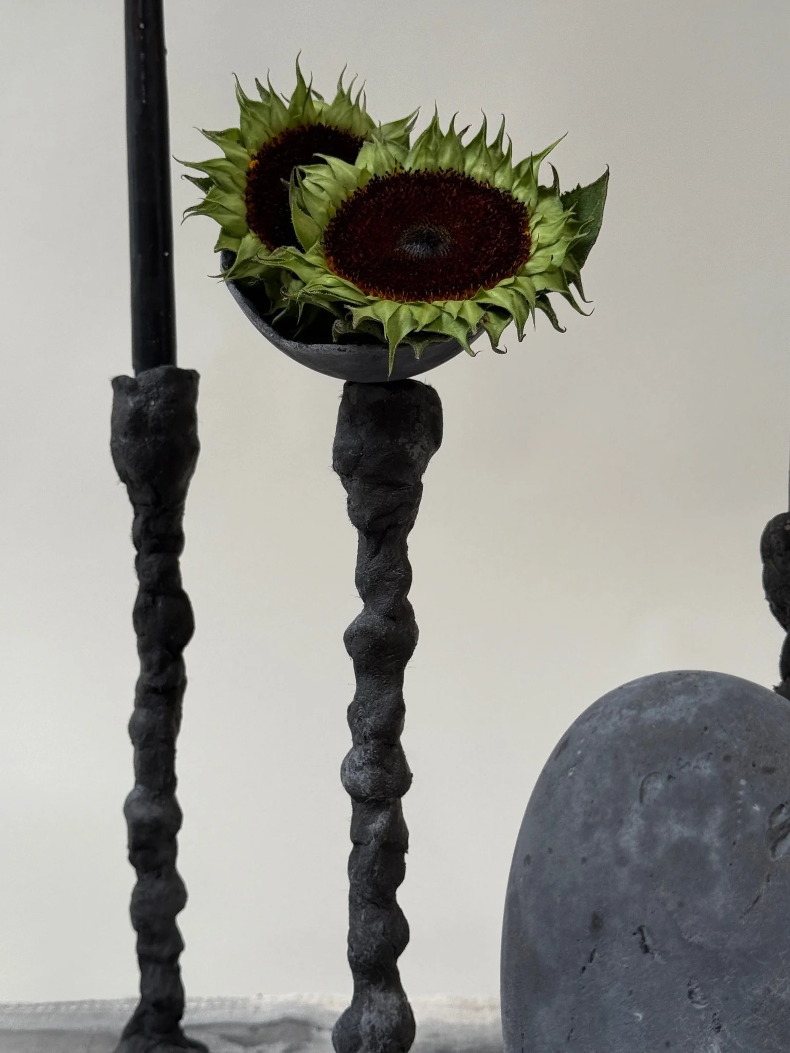Charcoal Little Cup Insert by Kept LA on black Alberto candlestick  holding a single open sunflower head, showing use as a botanical vessel