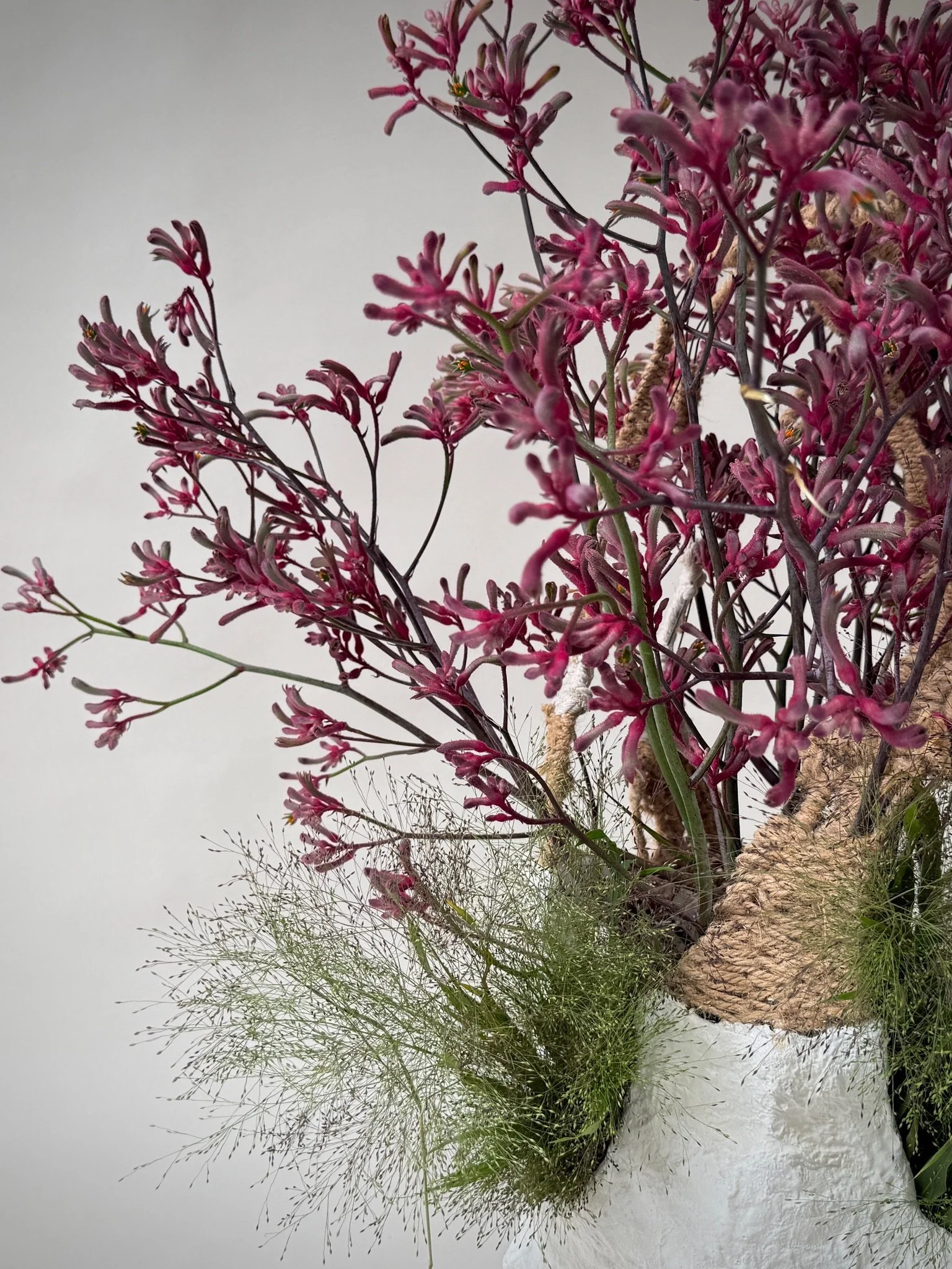 Weave and Plaster Basket by Kept LA styled with kangaroo paw  and fennel grass, showing open woven form holding fresh botanical  arrangement naturally