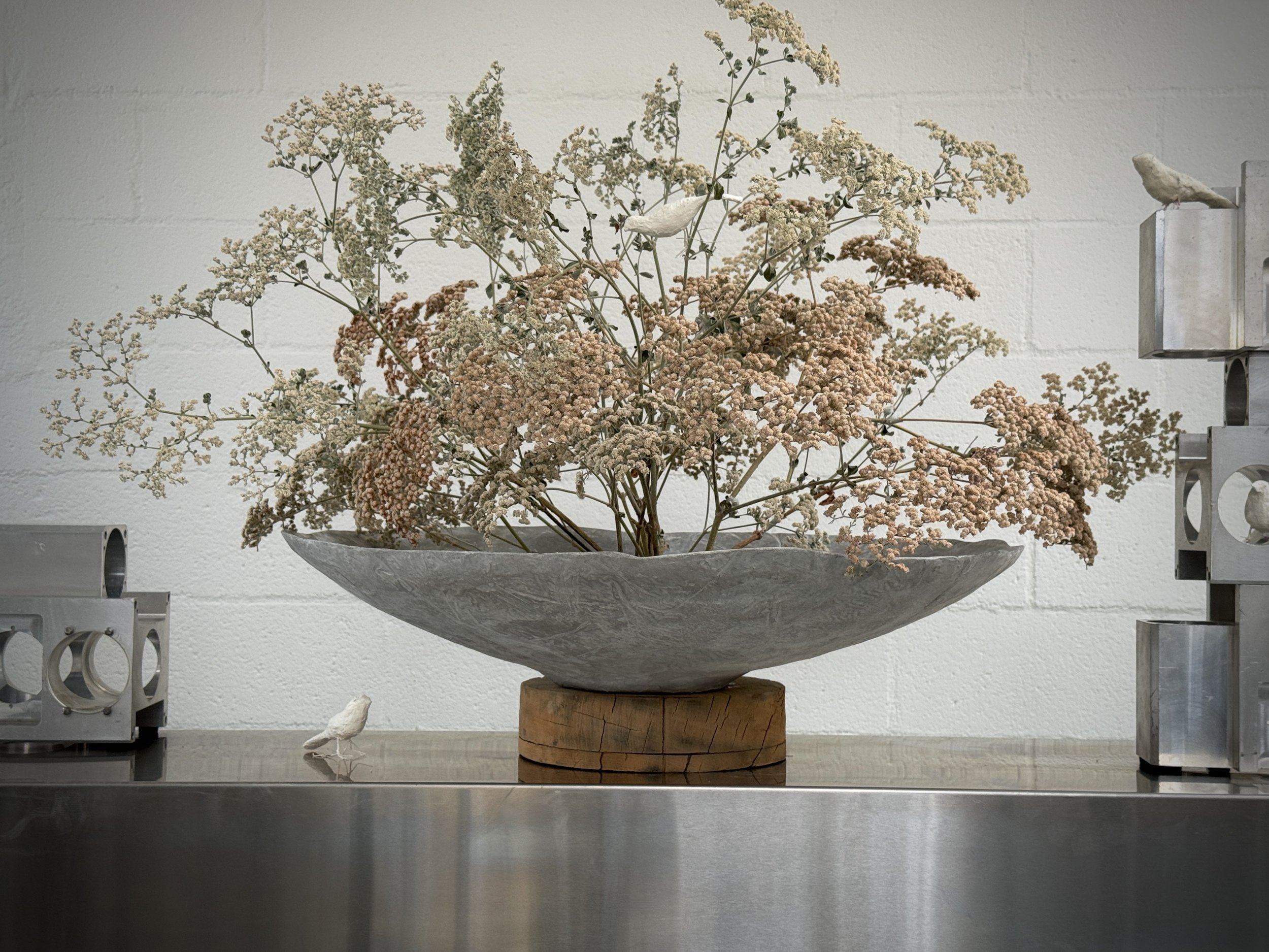Santa Cruz Buckwheat in hand made vessel.