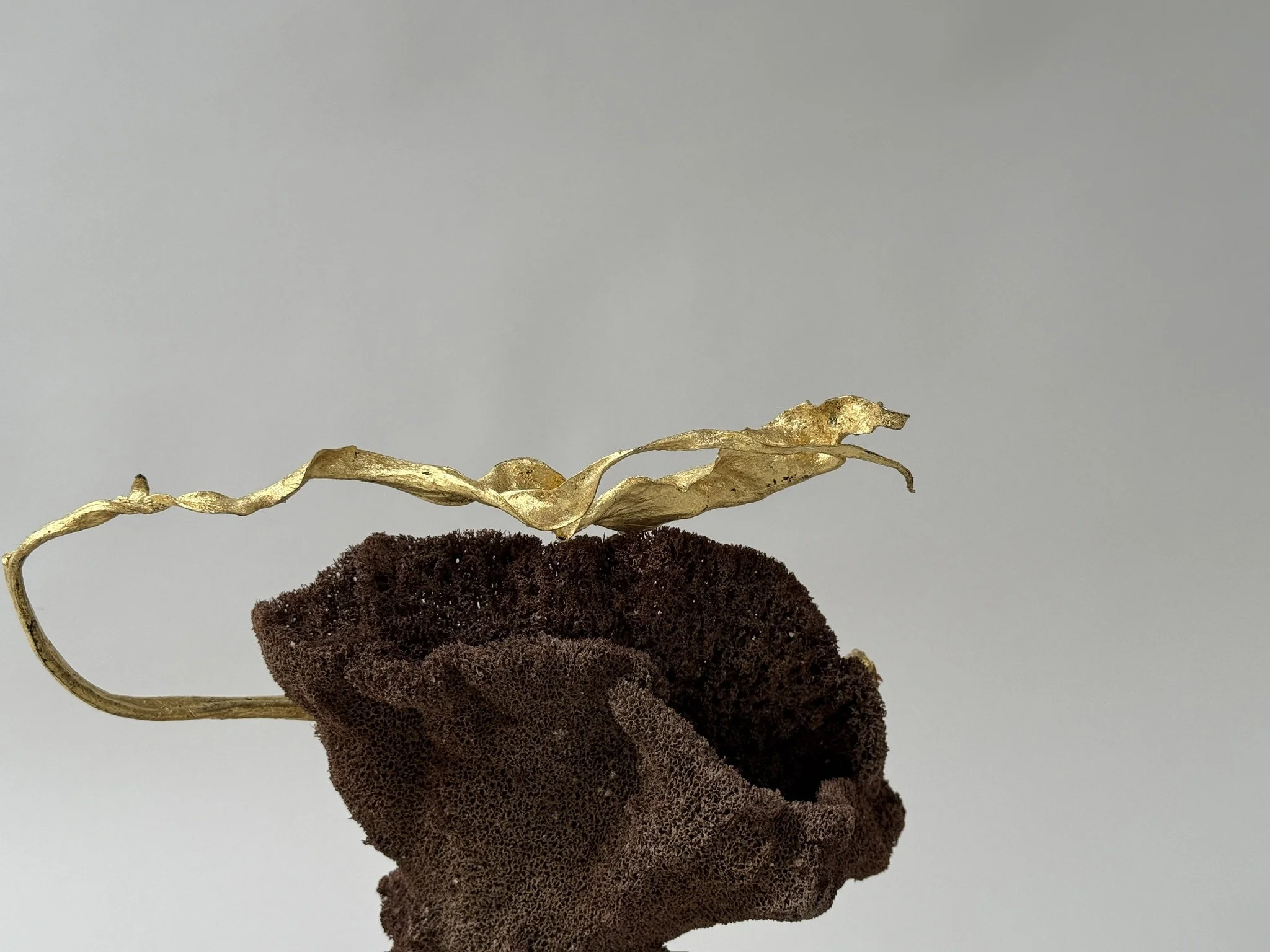 gold leafed seaweed and natural sponge 