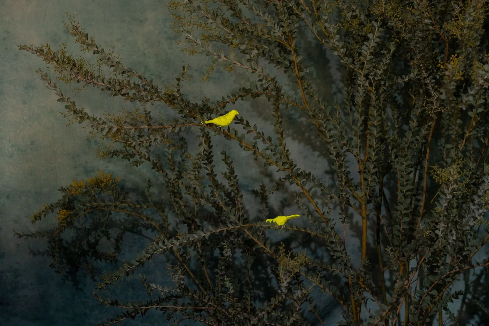 event greenery + custom yellow birds