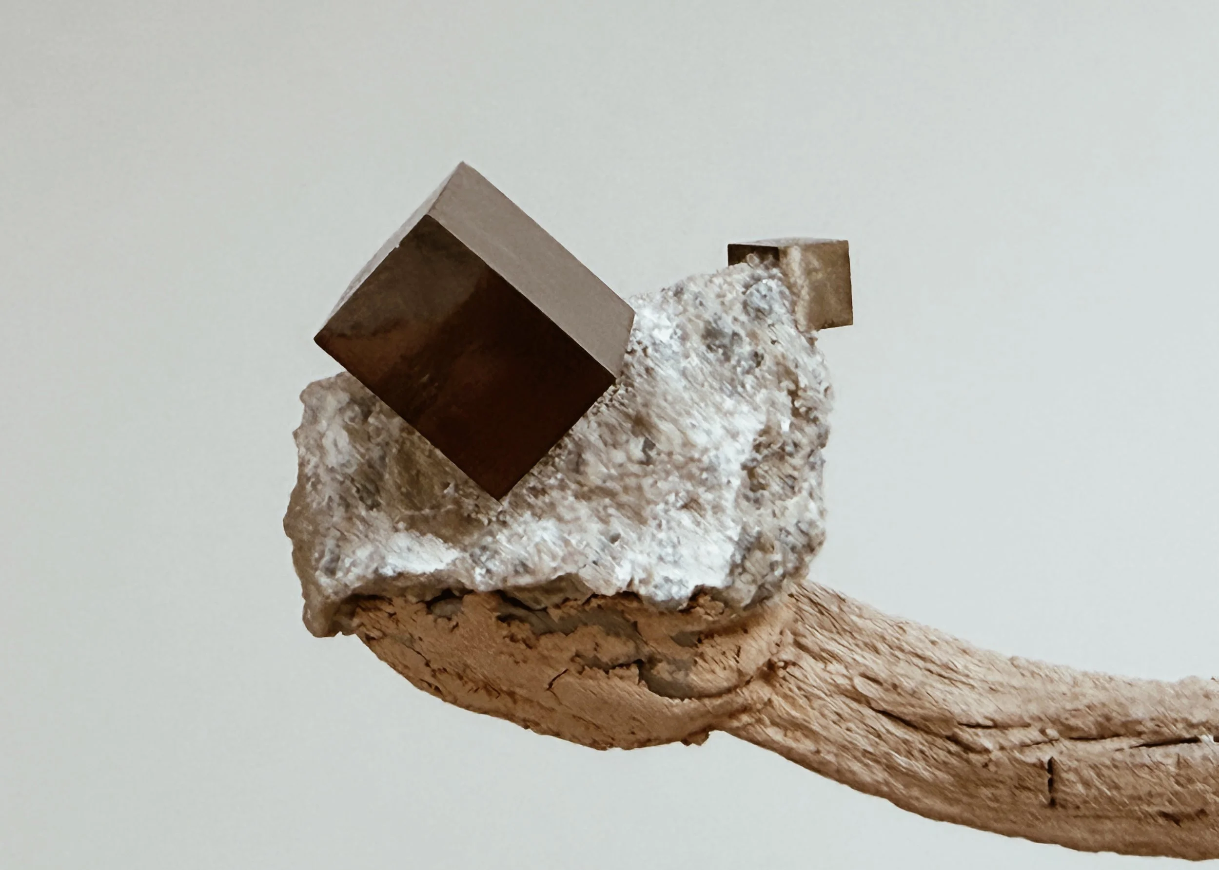 Extreme close detail of cubic pyrite mineral mounted on branch  of OG Krislyn Tree by Kept LA showing geometric metallic pyrite  crystal form against raw wood grain texture