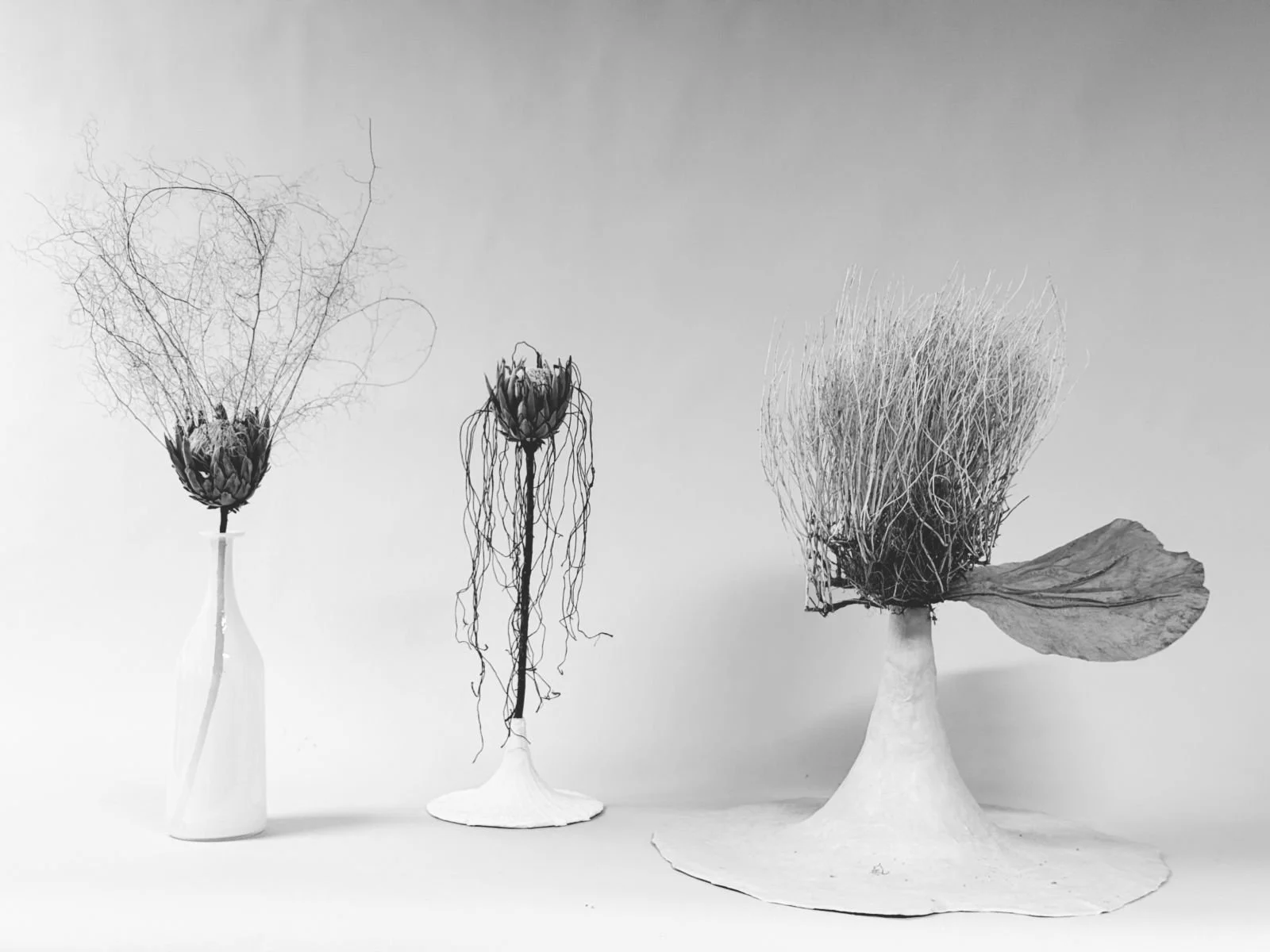 sculpted vessel for botanical displays