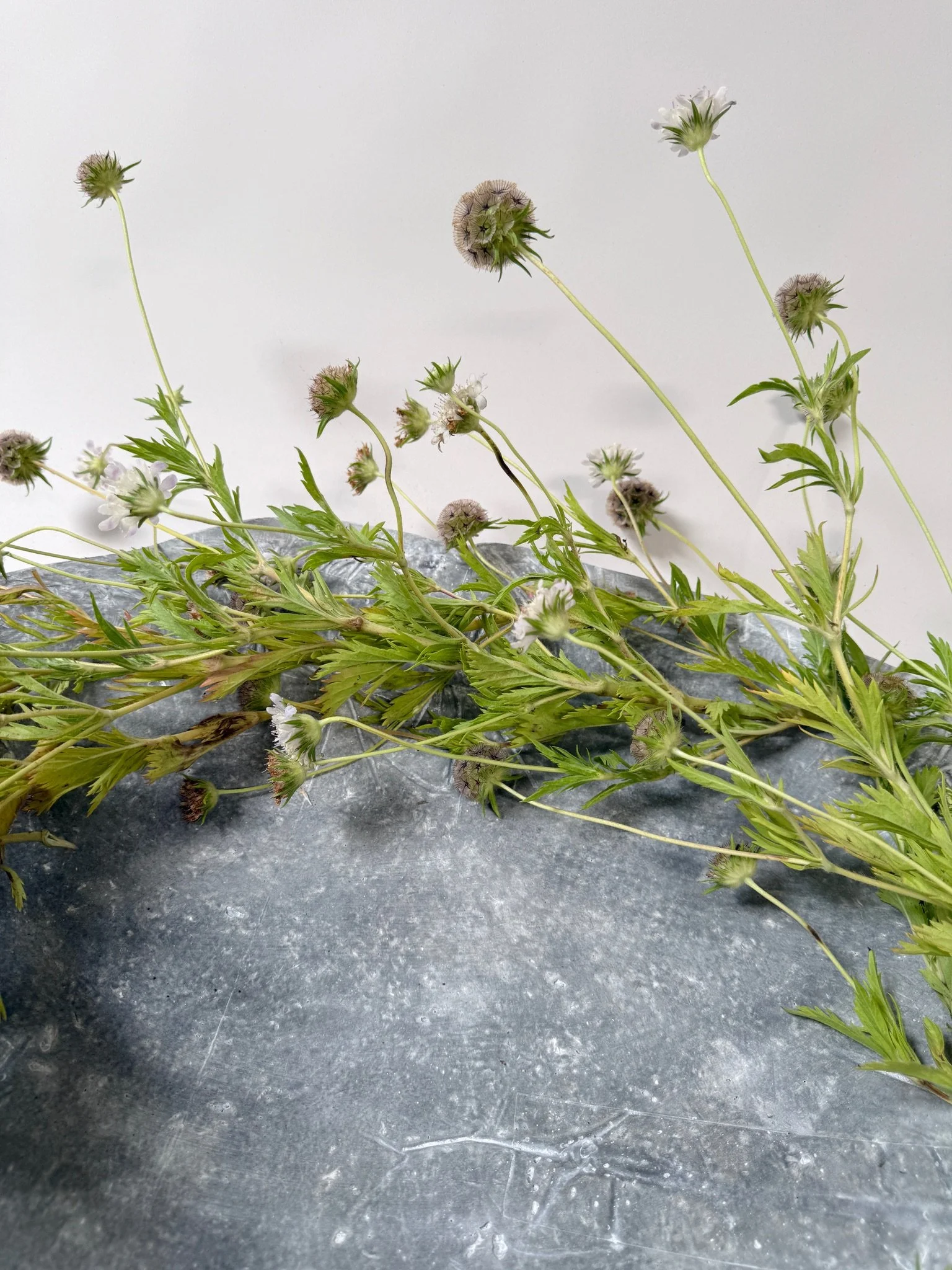 hand formed cement centerpiece