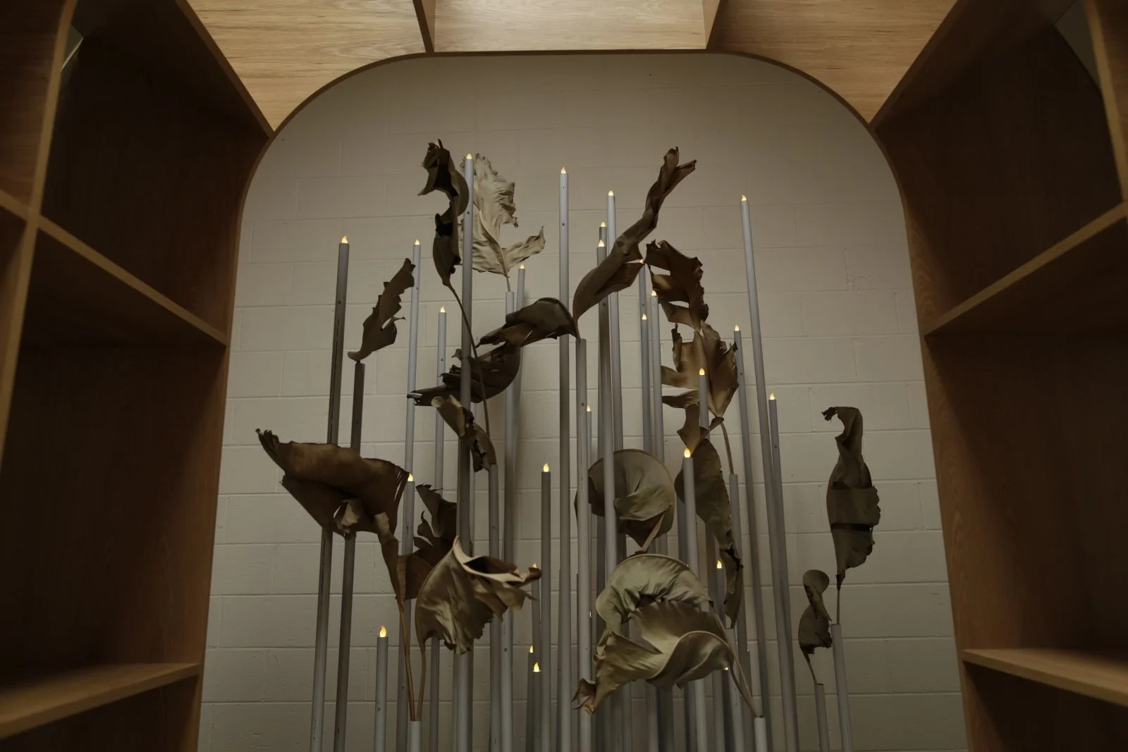 light installation with dried floral