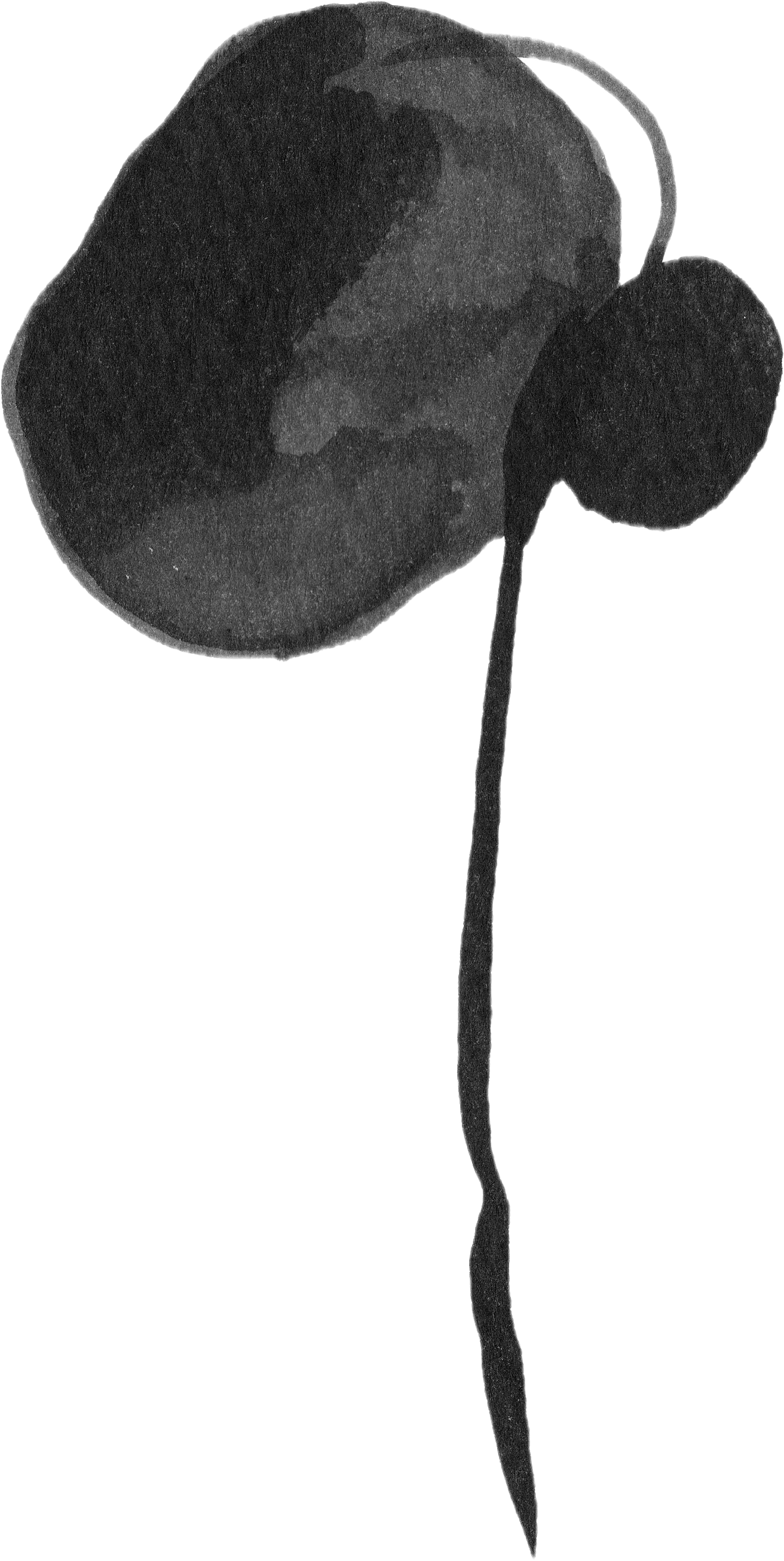 A black and white illustration of a poppy flower with a long, slender stem and a rounded seed pod or bud.