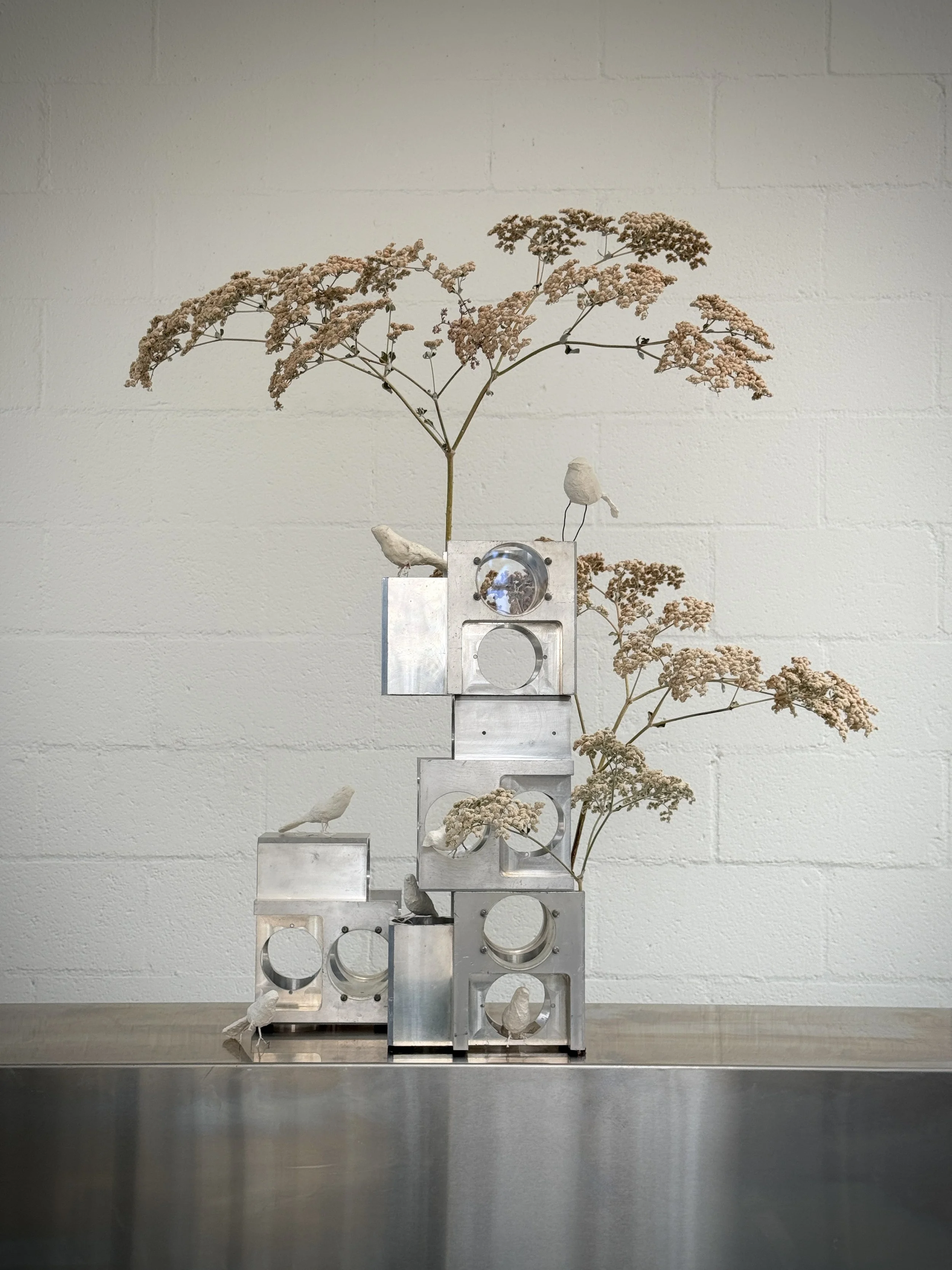 Bird Sanctuary assemblage.
