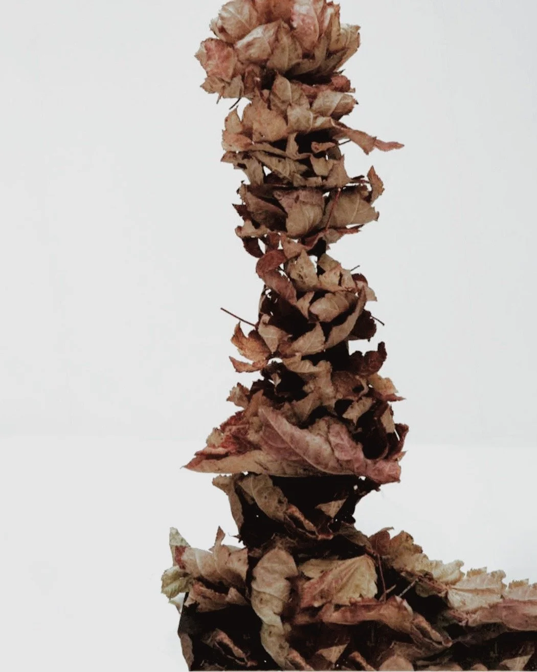 leaf installation