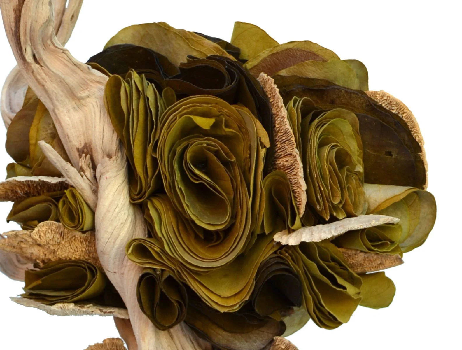 leaf folding