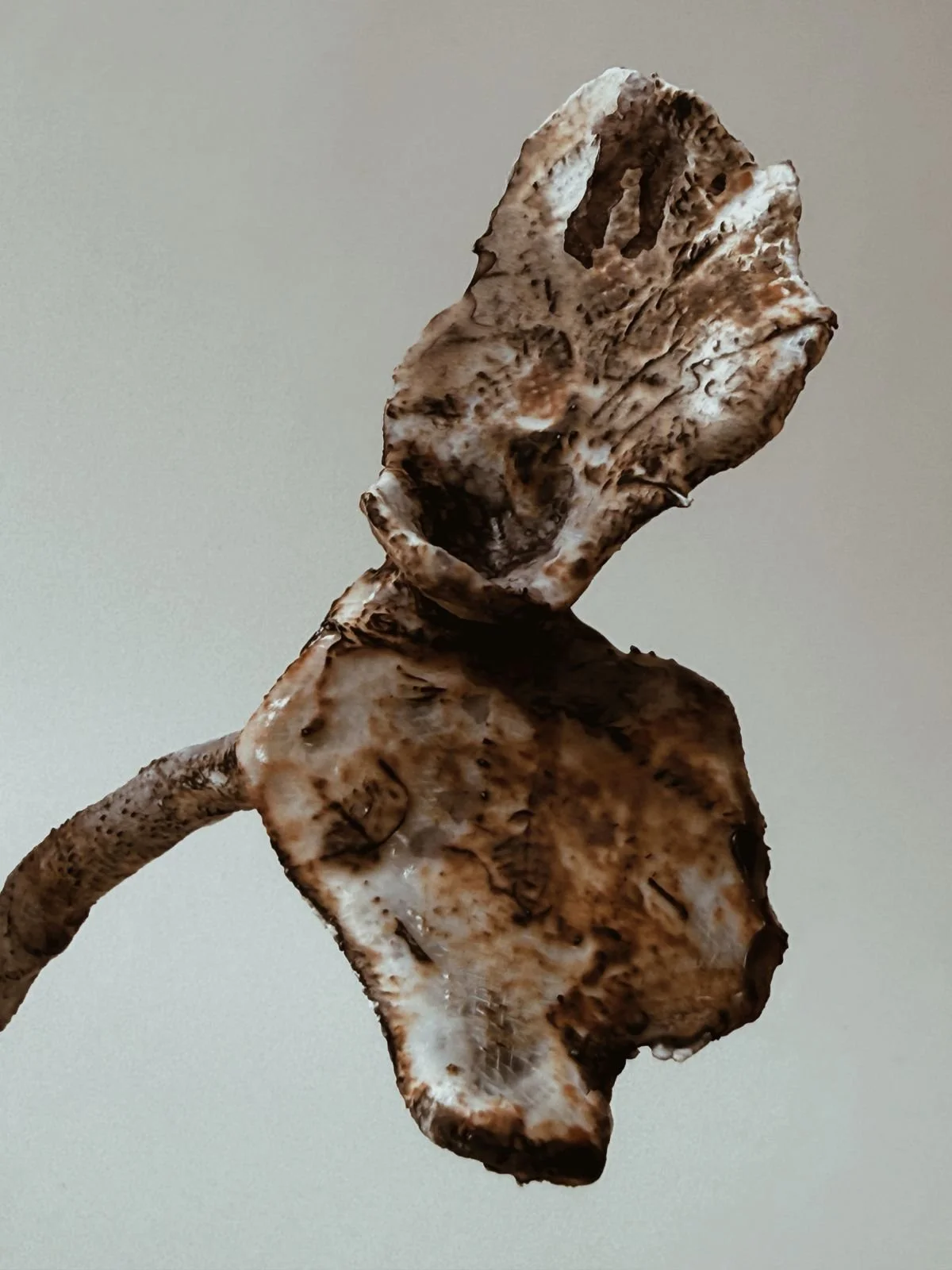 Close-up of a sculpture resembling a human face and upper torso, made from a textured, weathered material, likely metal or clay, with an abstract, distorted appearance.