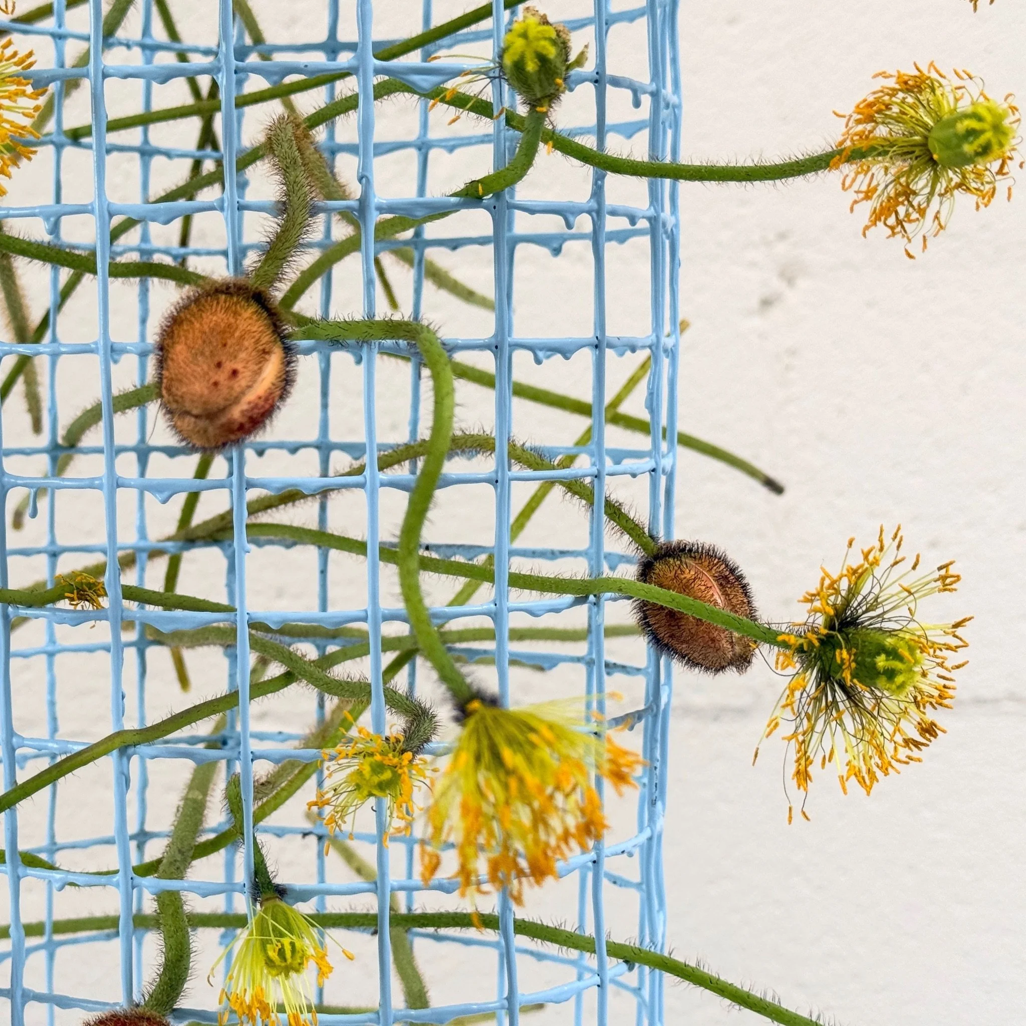 Kept-LA-blue-grid-event-details-flowers.JPG