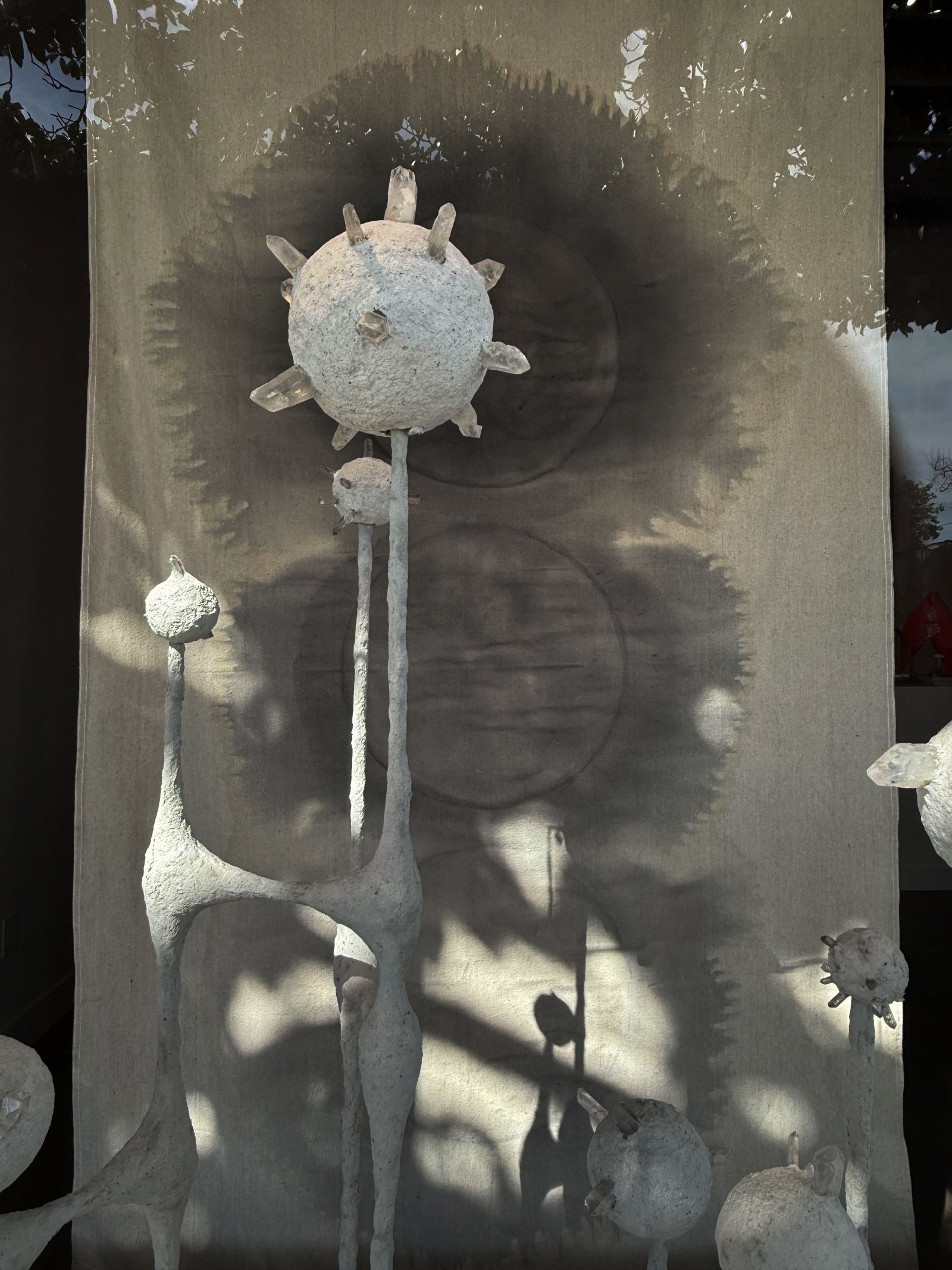 retail window display and backdrop
