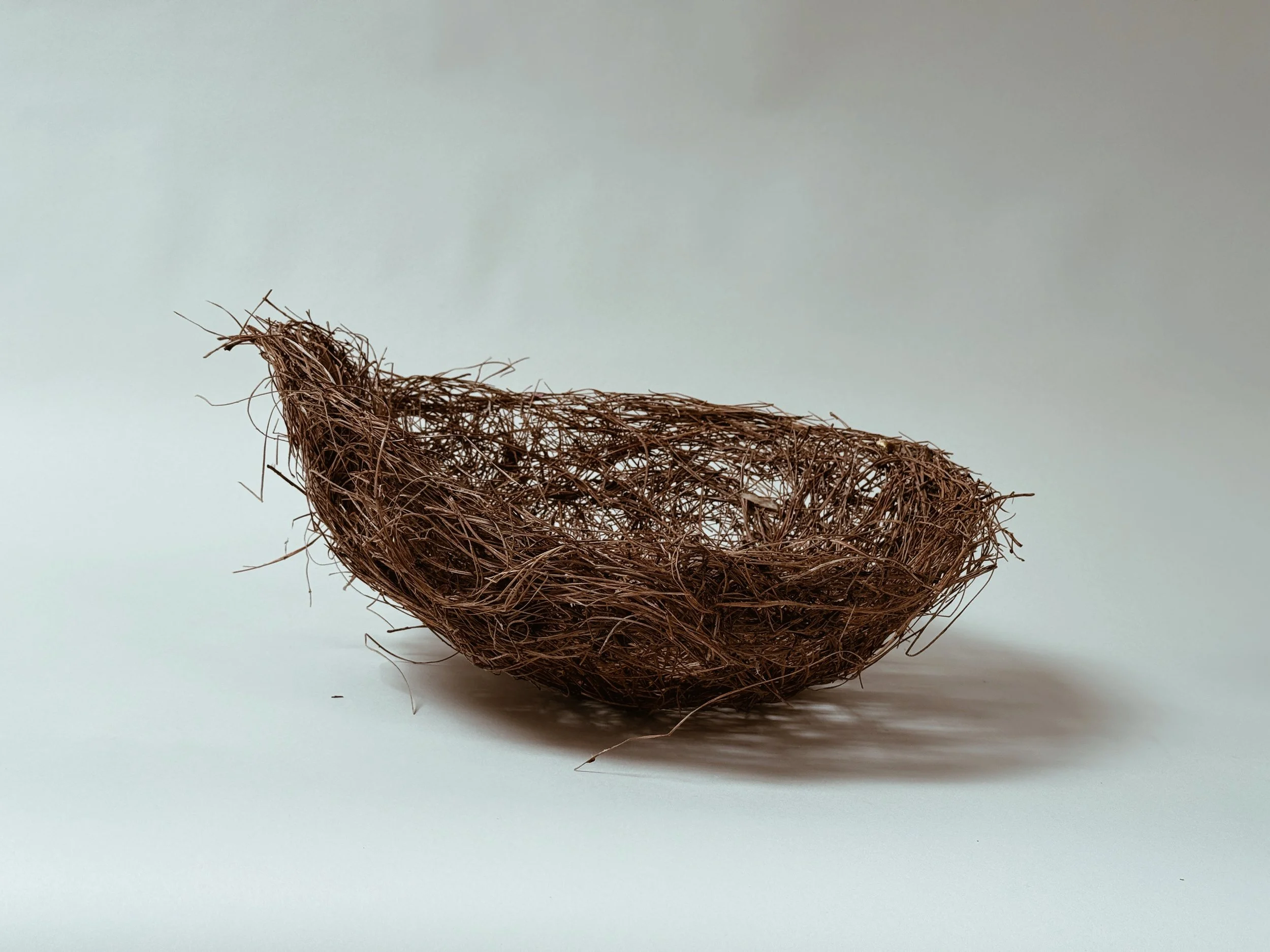 Large Pine Needle Vessel by Kept LA side profile showing  asymmetric handwoven form and naturally irregular rim,  dried pine needle texture on neutral background