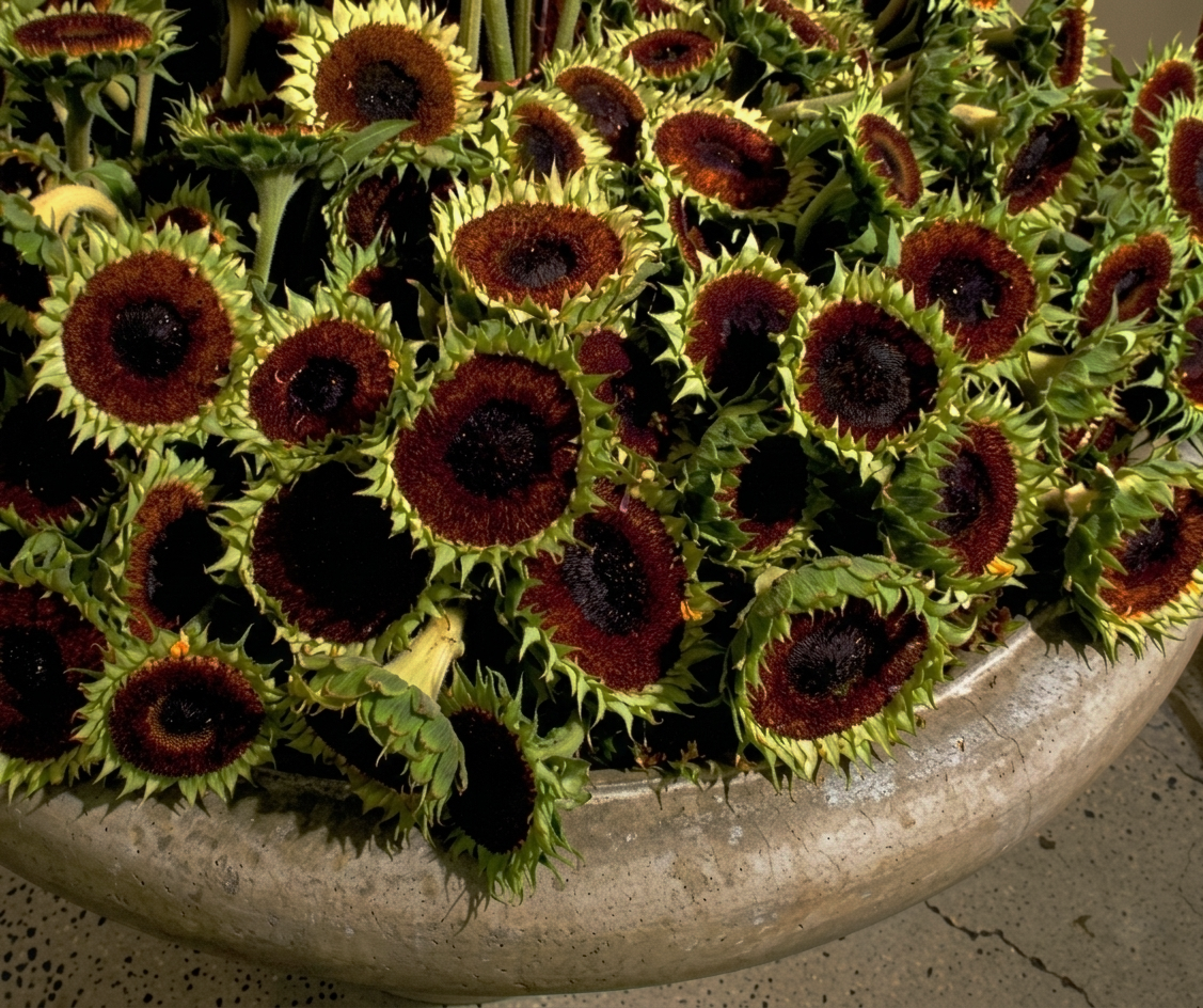 sunflower statement piece