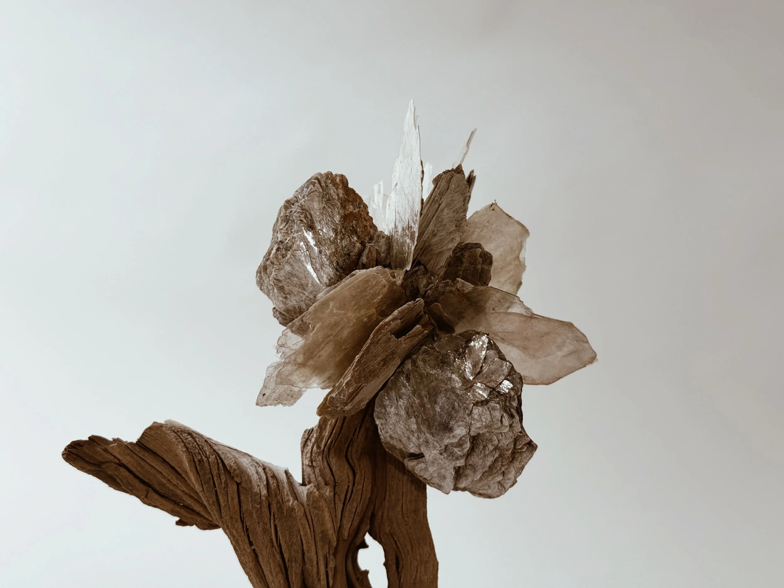 Extreme close detail of OG Krislyn Tree in Natural Mica by Kept LA  showing raw fire-cleared wood grain texture alongside layered natural  mica mineral sheets catching available light