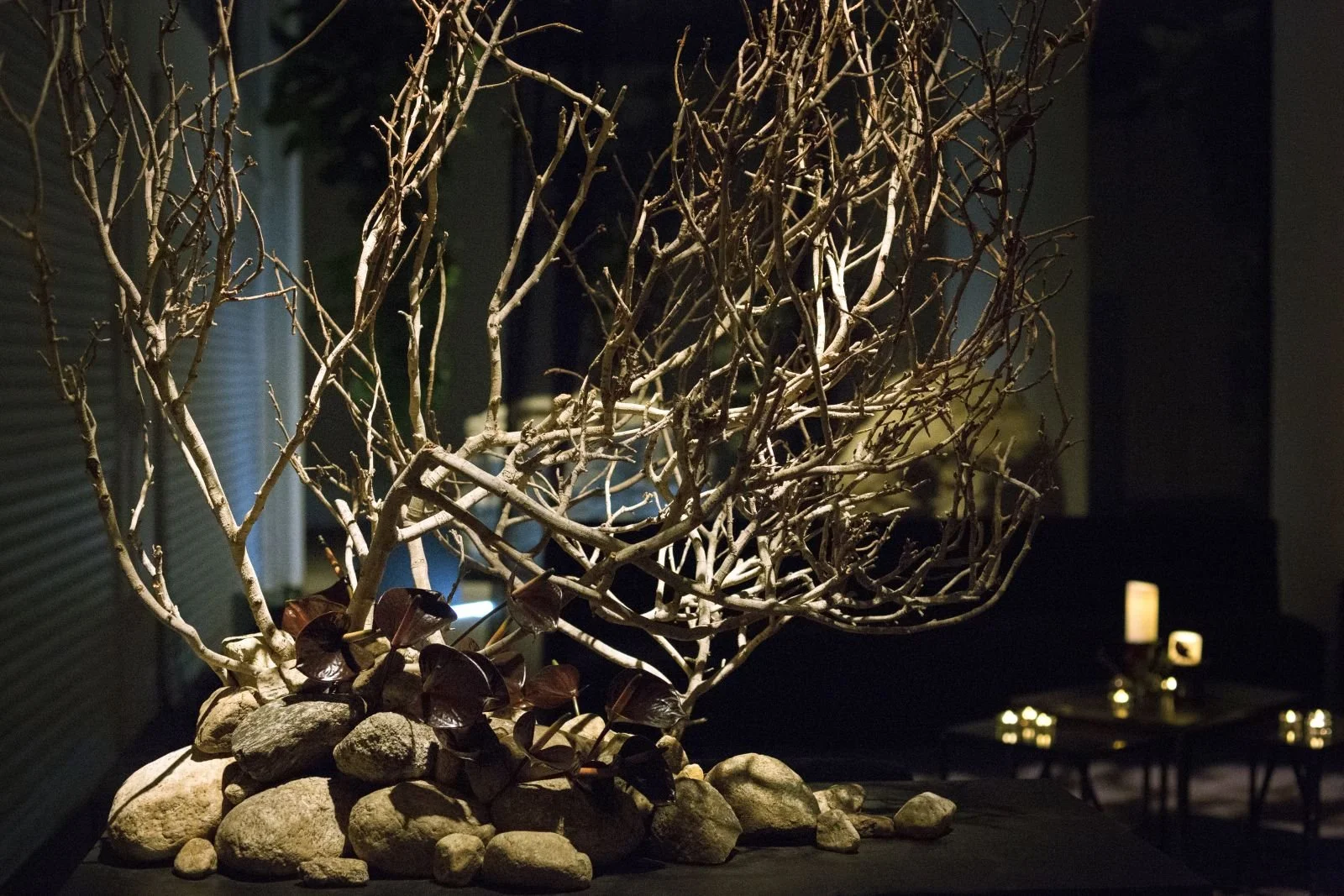 desert themed floral installation