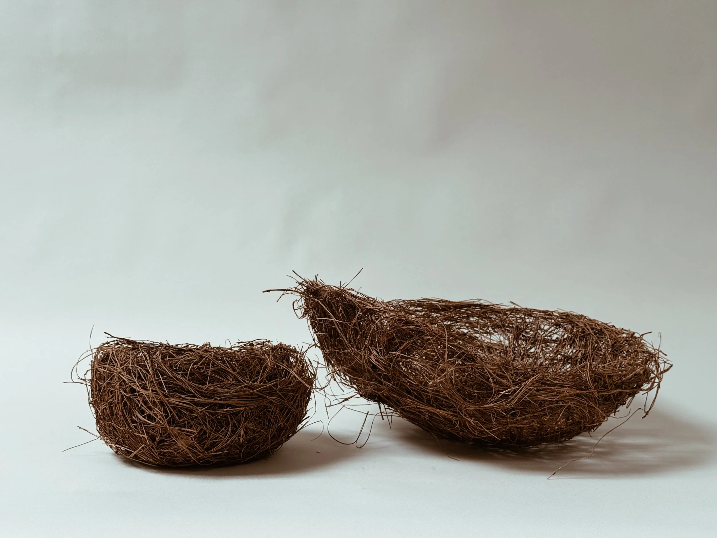 Pine Needle Vessels