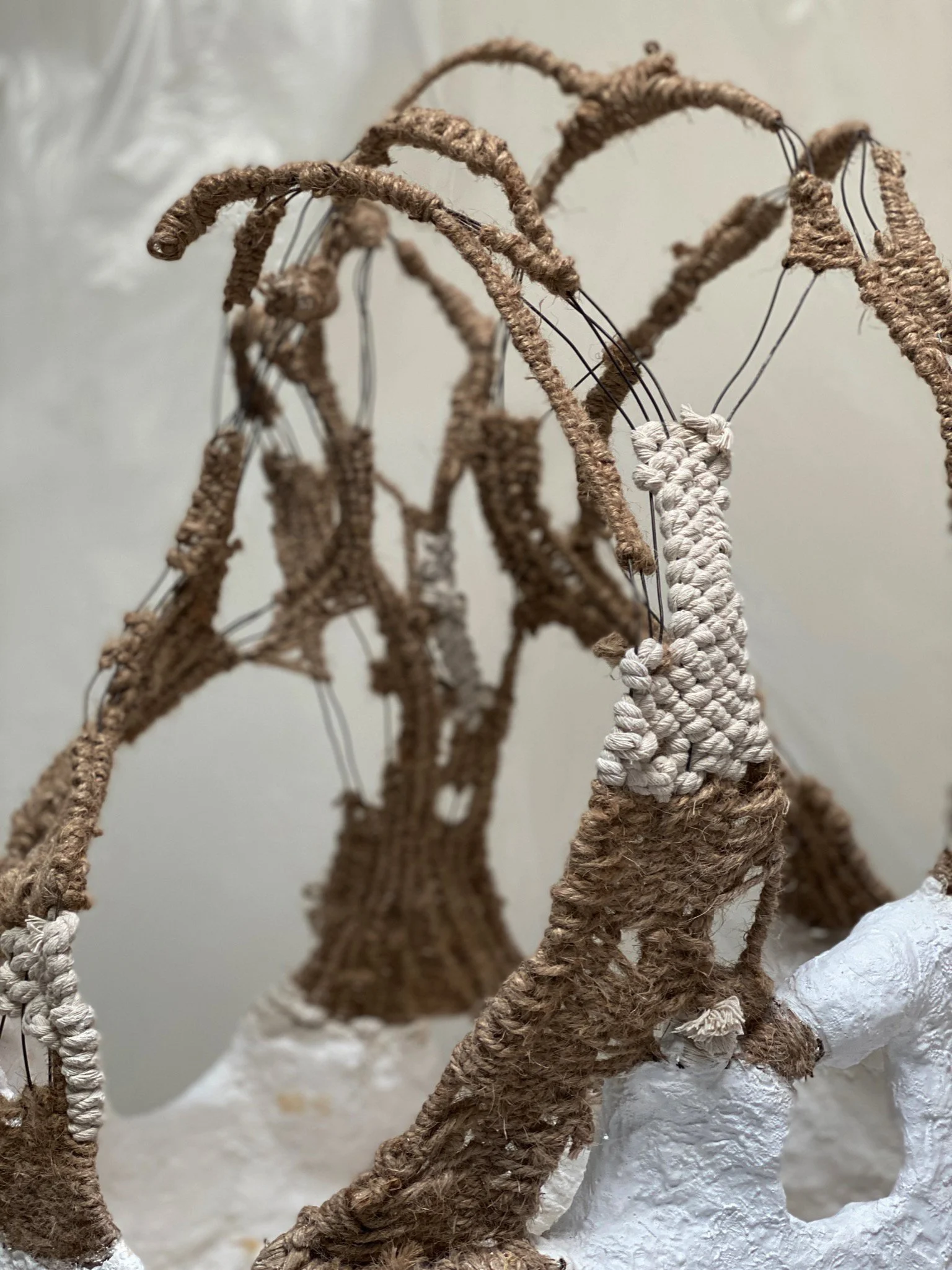 basket + plaster object