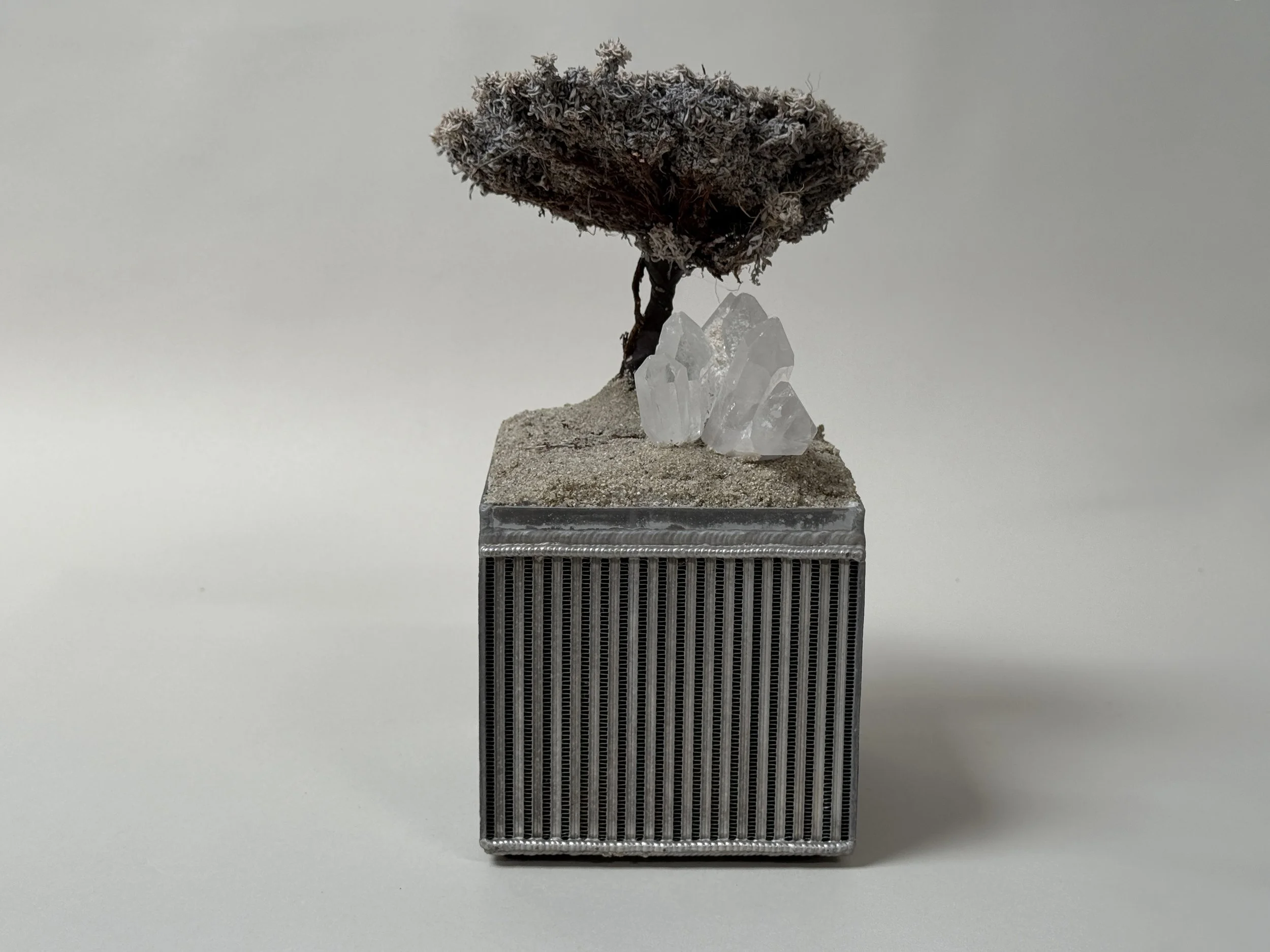 Arte Povera Landscape by Kept LA at slight angle showing preserved canopy detail and sand surface with quartz crystal  cluster on ribbed industrial radiator base