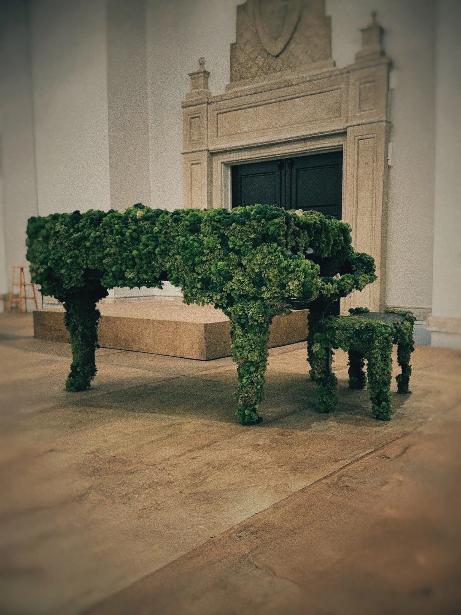 moss piano