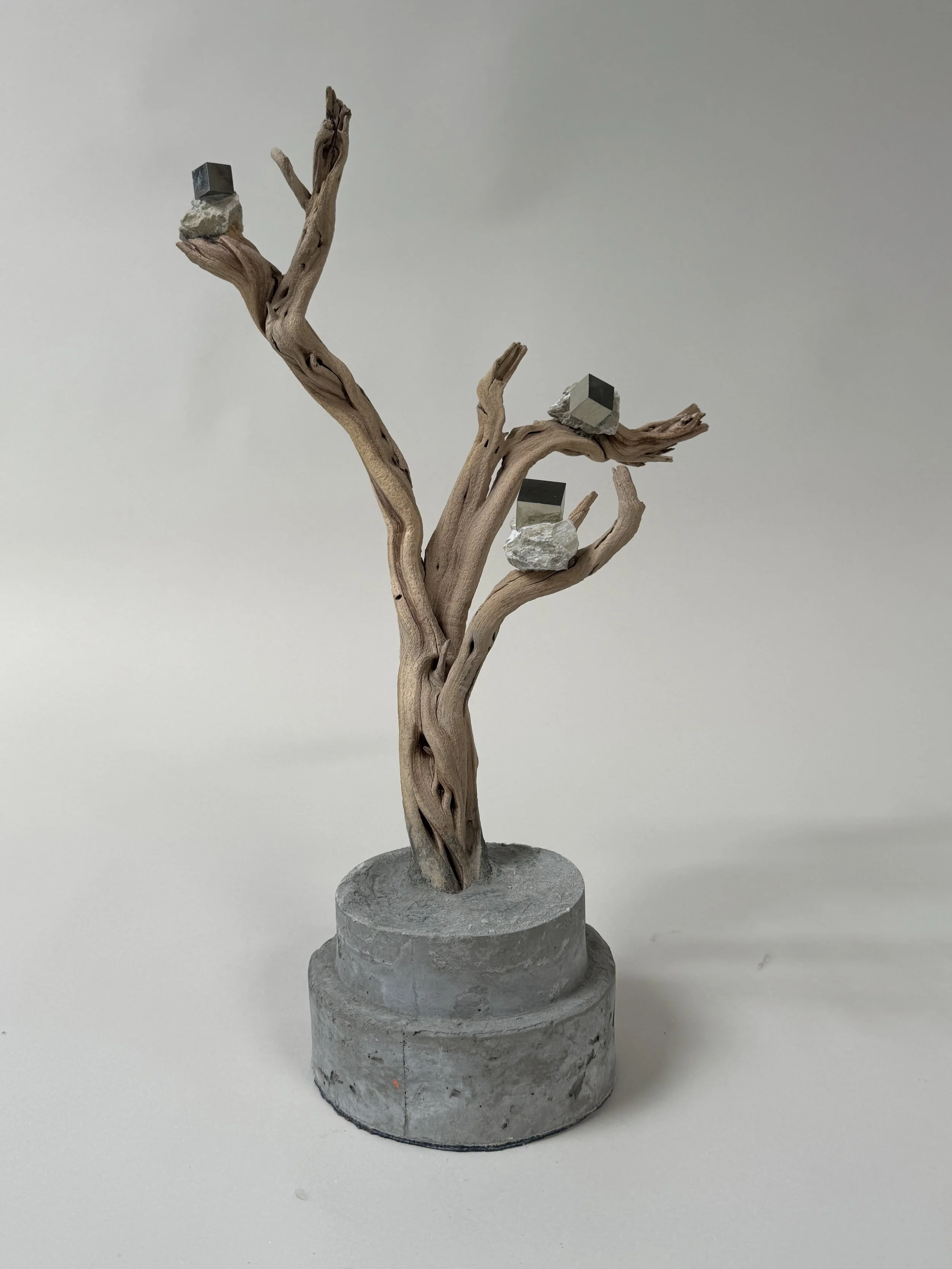 OG Krislyn Tree Pyrite