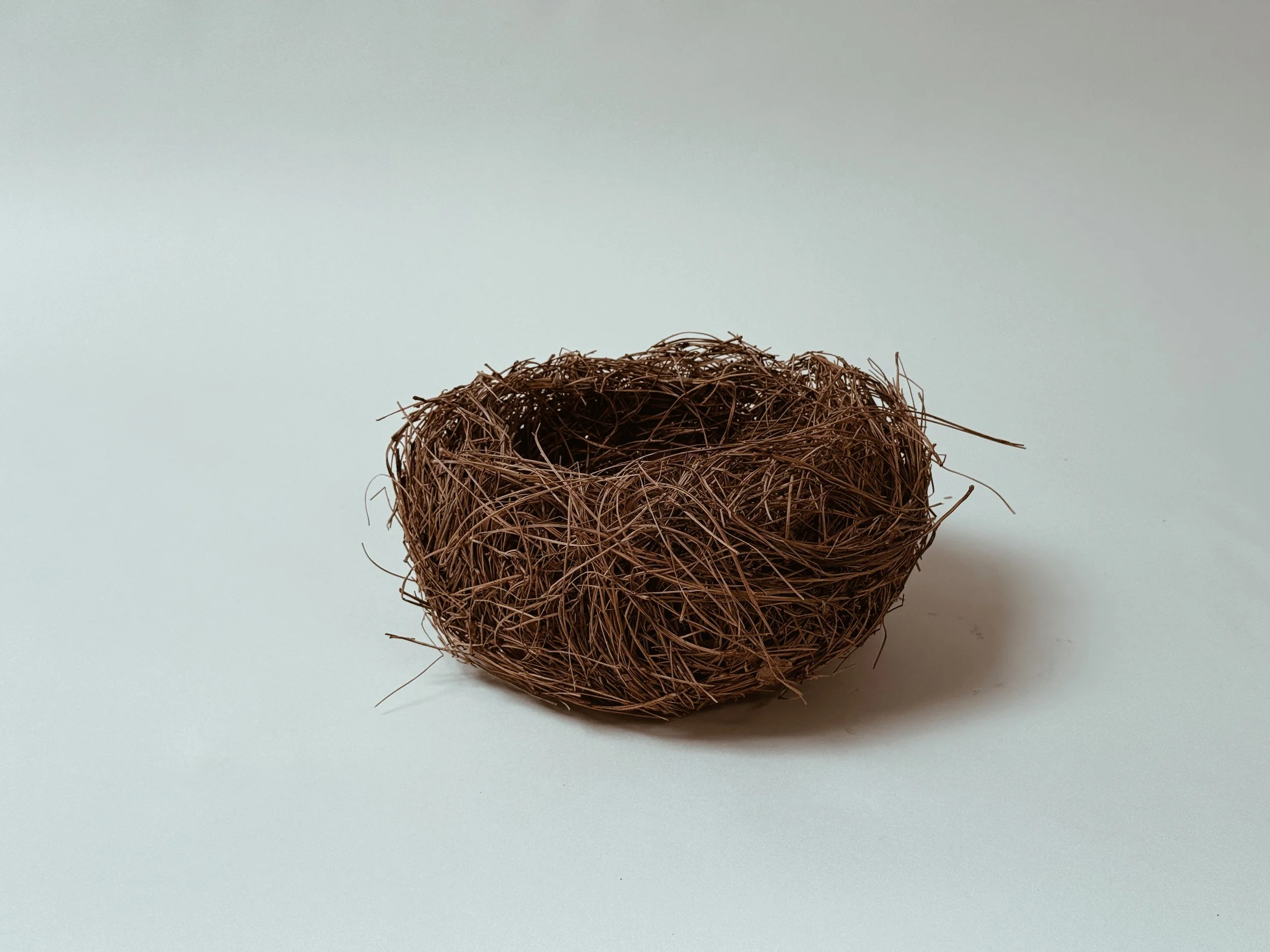 Small Pine Needle Vessel by Kept LA front view showing  circular handwoven dried pine needle bowl form and organic  texture, clean product shot on neutral background