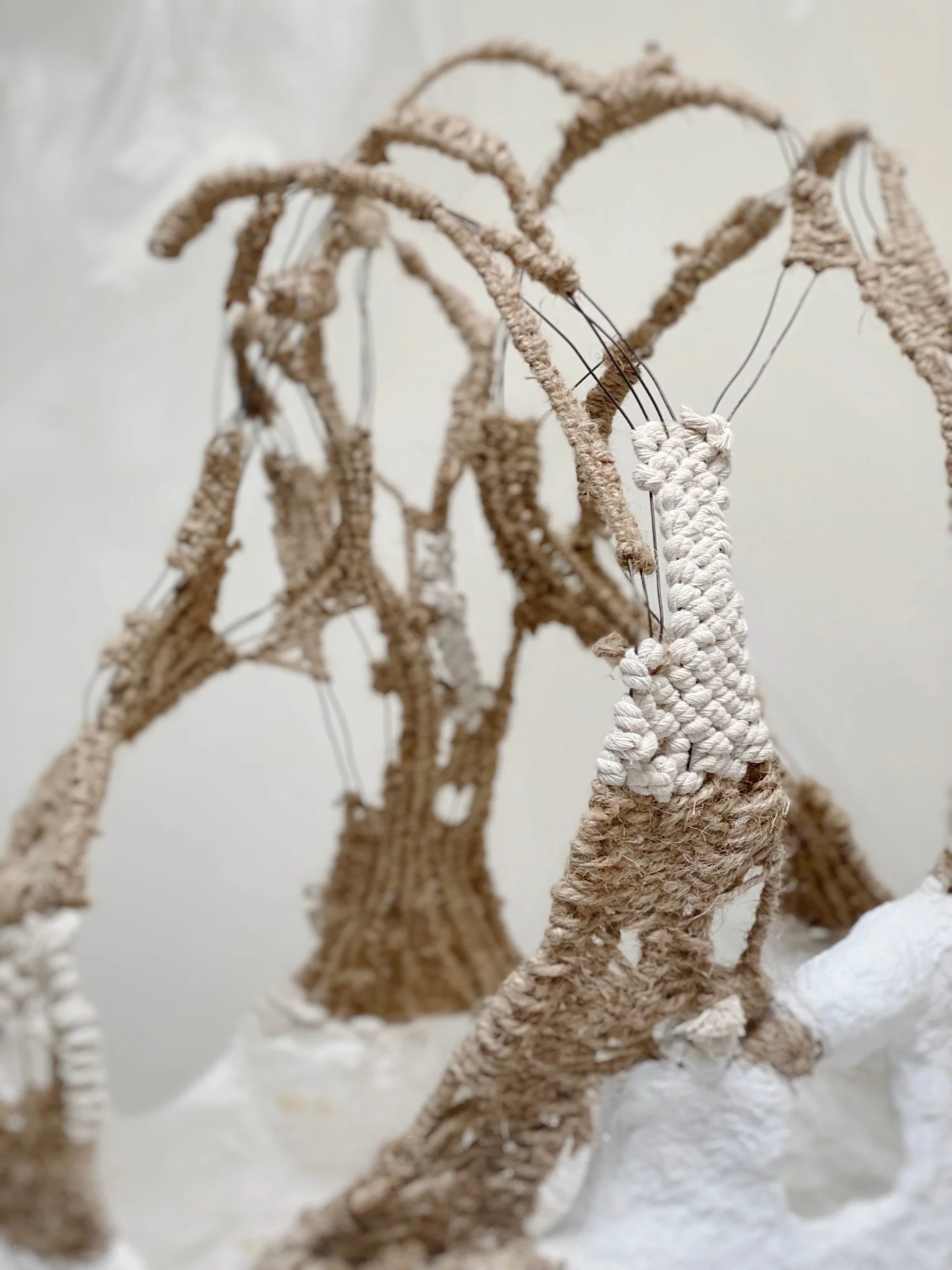 pper fiber branch structure of Weave and Plaster Basket by  Kept LA — cotton cord and jute rope wrapped wire branches  extending freely into space