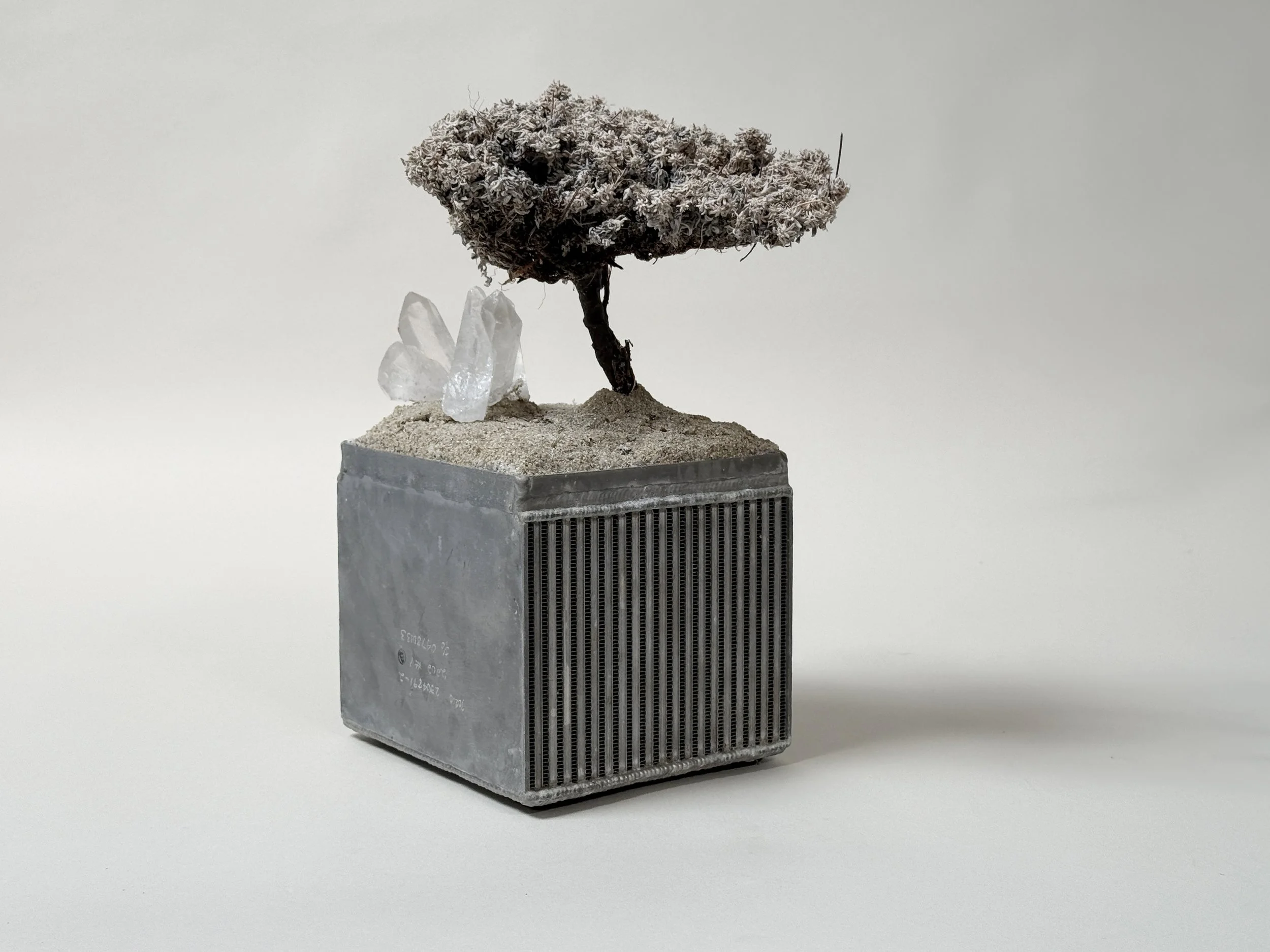 Arte Povera Landscape